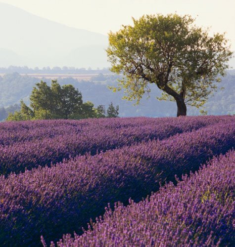 Picking Up the Pieces