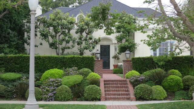 Boxwood Bonanza