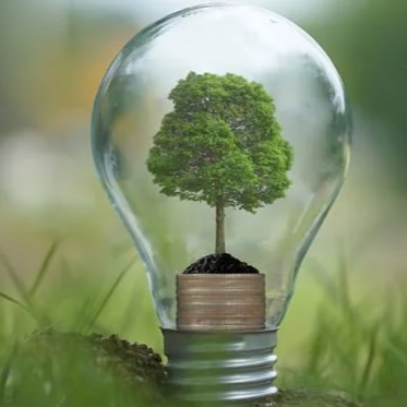 InnSure Insurance Innovation Prize Program Culminates Product Launches, New Offerings, Project Scaling, and Increased Revenue for Climate Startups