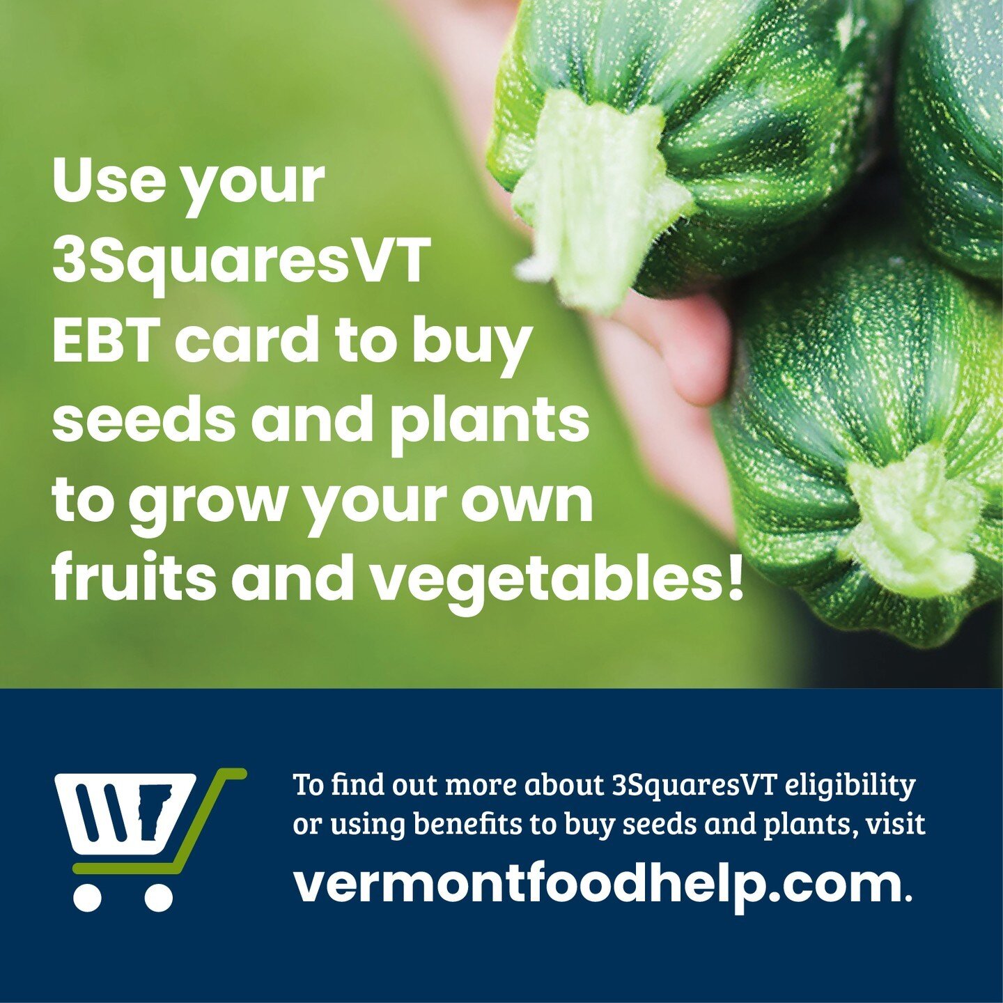 Does your spring garden need a boost? Kick off your planting with 3SquaresVT! 

You can use your monthly 3SquaresVT benefits to purchase fruit, vegetable and herb seeds and starter plants at participating retailers and farmers markets that accept EBT