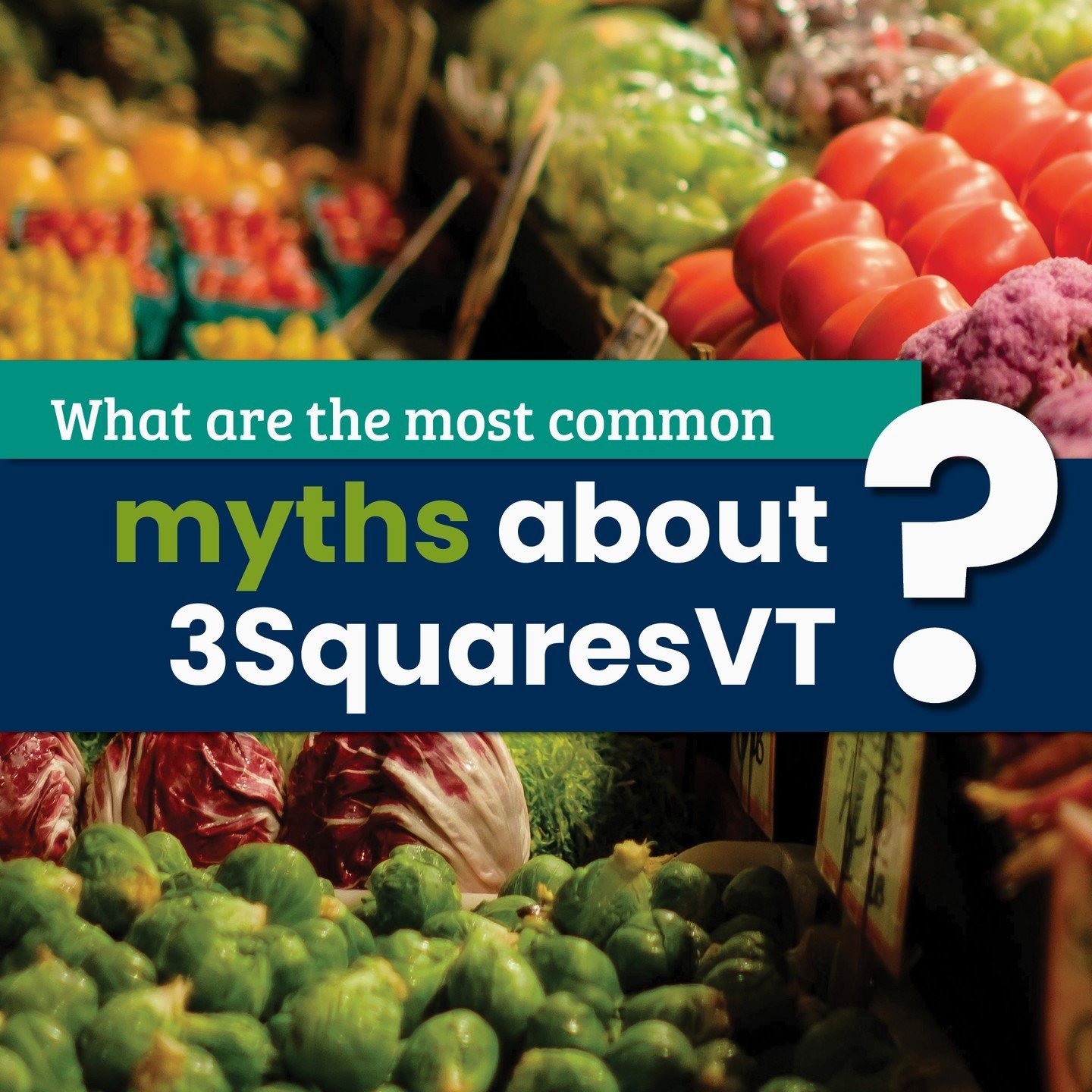 3SquaresVT can provide a family of 4 up to $973 in benefits to spend on the food they want and need every month. Many of us living in Vermont are eligible for 3SquaresVT but don't apply or believe we're not eligible due to stigma and misinformation. 