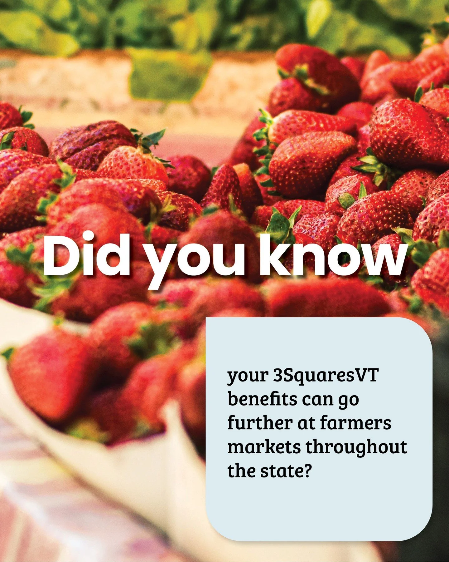 We ❤️ Crop Cash. 

Thanks to this program, your 3SquaresVT dollars can go further at many farmers markets throughout the state. 

Visit the link in our bio to learn more and find a participating market near you.