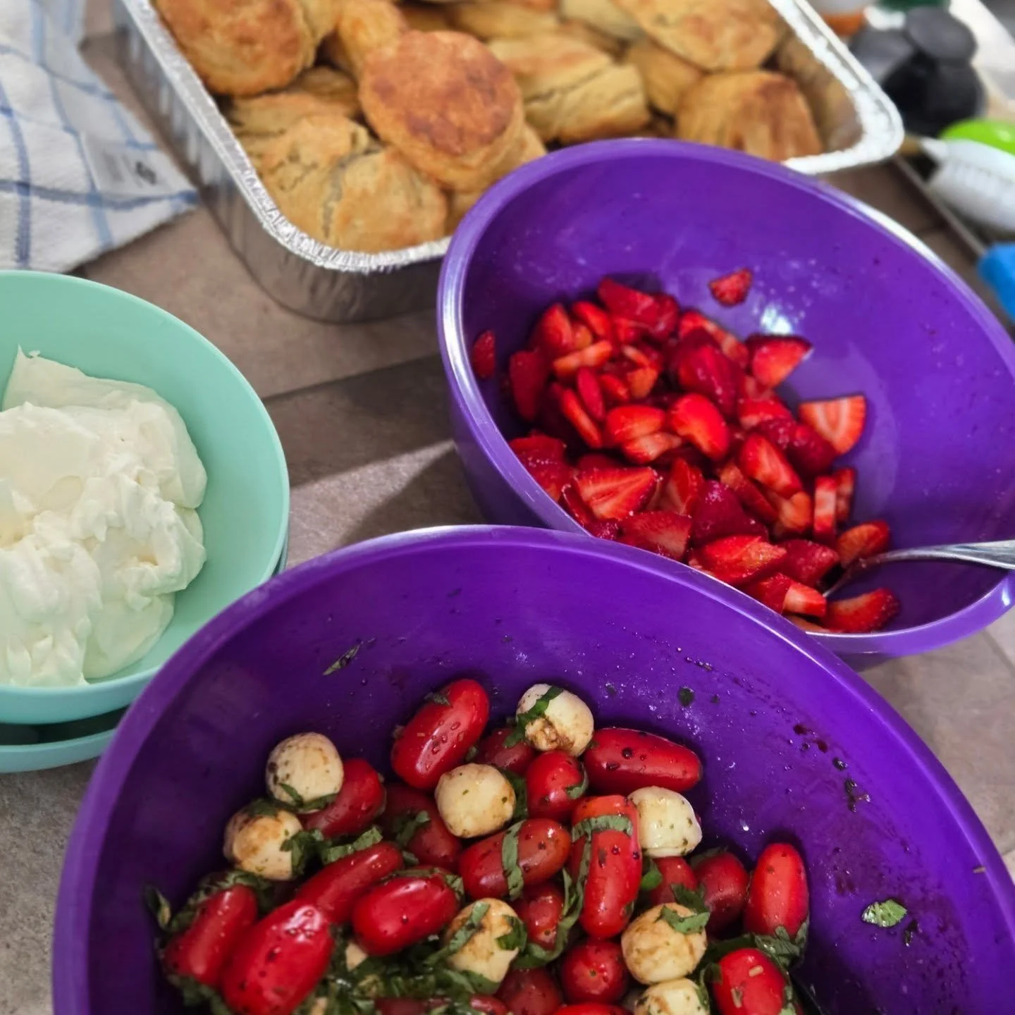 Mother's Day Brunch 2026

Much love to all the mothers out there

Caprese Salad
Dips from @tandcmarkets 
Biscuits
Herbed sausage gravy
Strawberries + Fresh whip cream
Bacon + eggs

#brunch #mothersday
