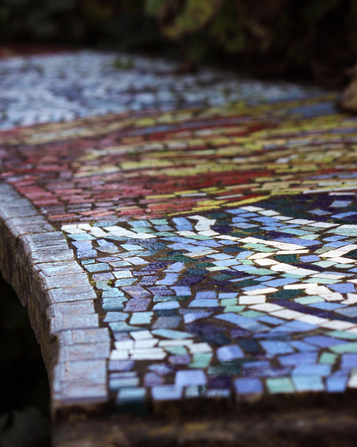 This close up photo was taken by Delilah during a recent individual lesson at @ceresbrunswick.
She has captured the detail and repetition of the mosaic so effectively, with a lovely use of shallow depth of field. And what&rsquo;s also impressive is t