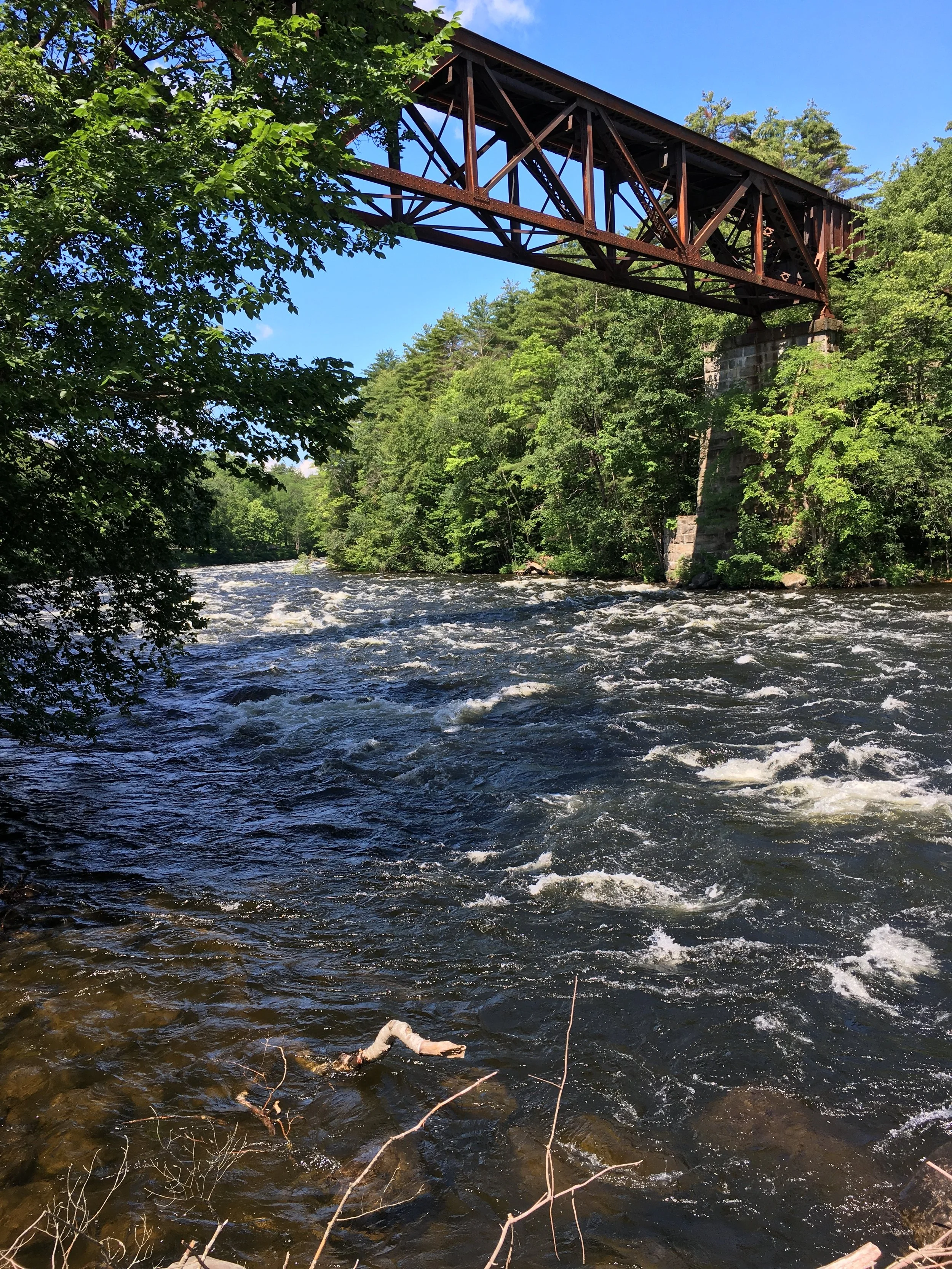 Gentle Yoga (Active Older Adults)
