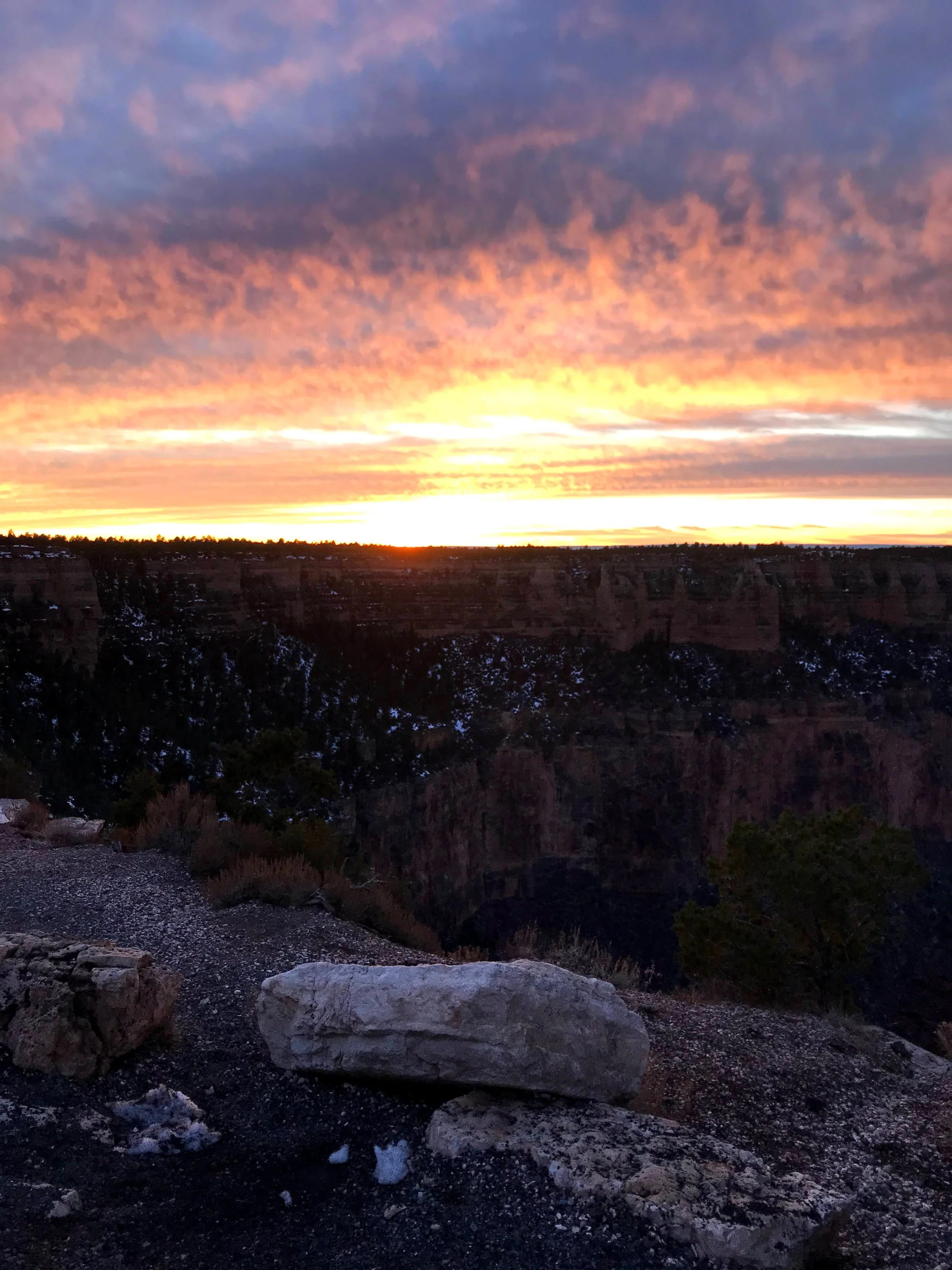 Functional Fit (Active Older Adults)