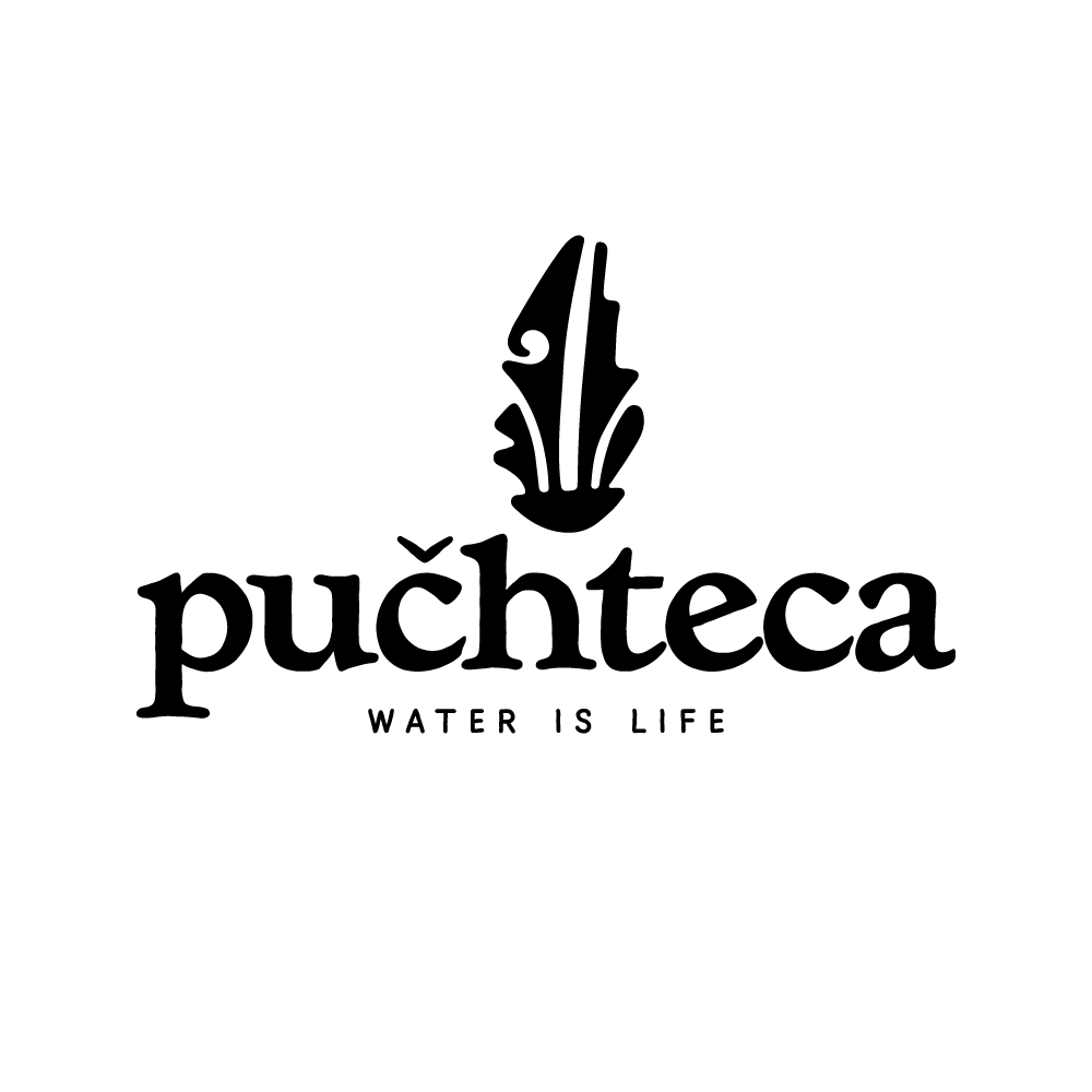 Puchteca Solutions