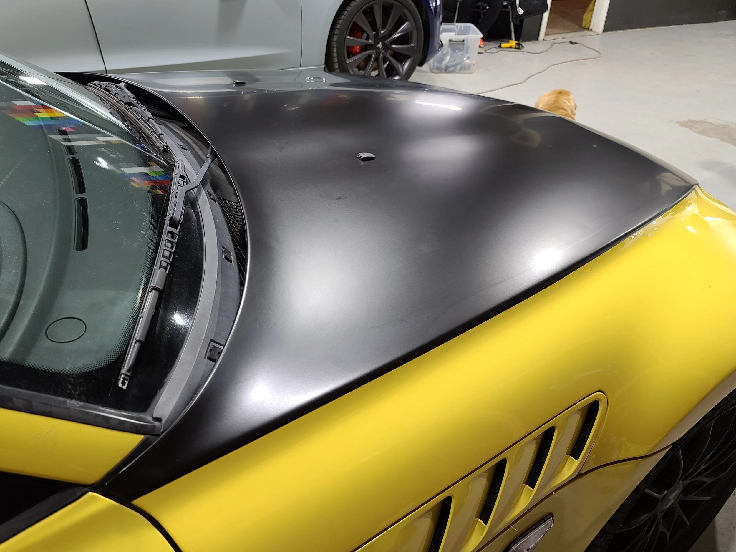 BMW Z3 Hood Partial Wrap