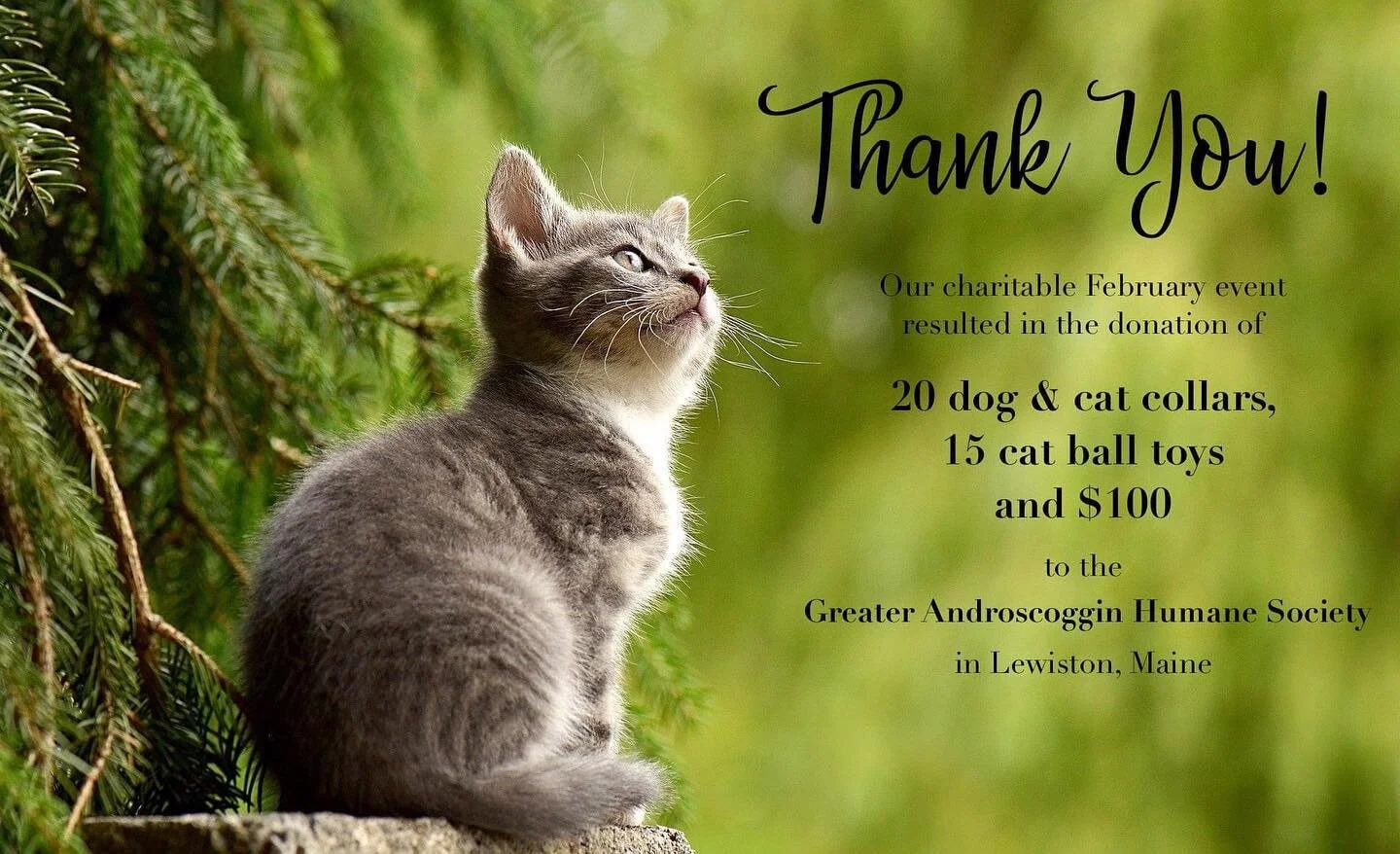 🐾 Thank you to all of our wonderful customers who purchased collars, leashes and cat balls this month! We even had some monetary donations! Items are heading to the Greater Androscoggin Humane Society shortly!

#thehappypooch #greaterandroscogginhum