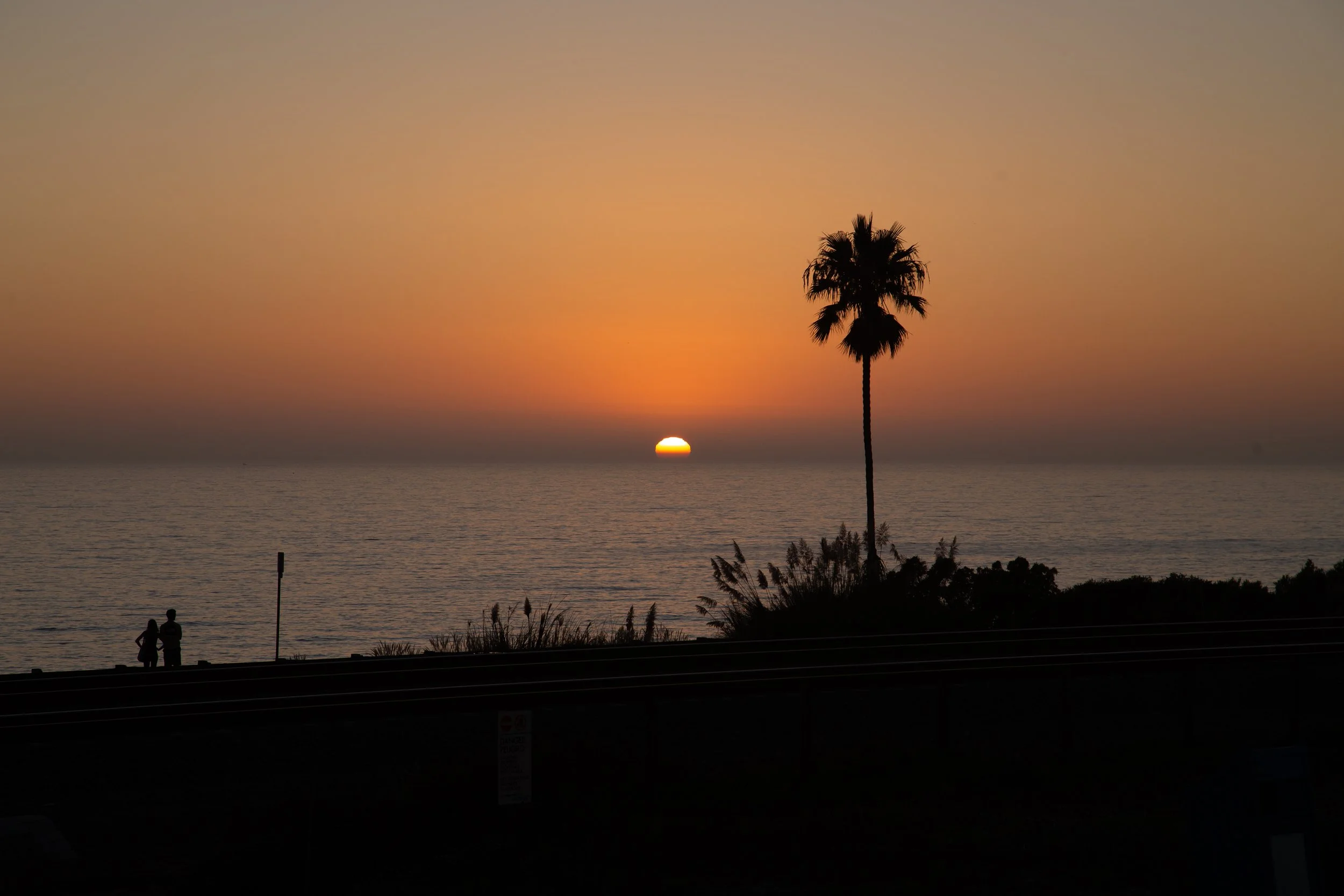 Sunset over the ocean with a silhouette of a palm tree and two people standing by the shore.