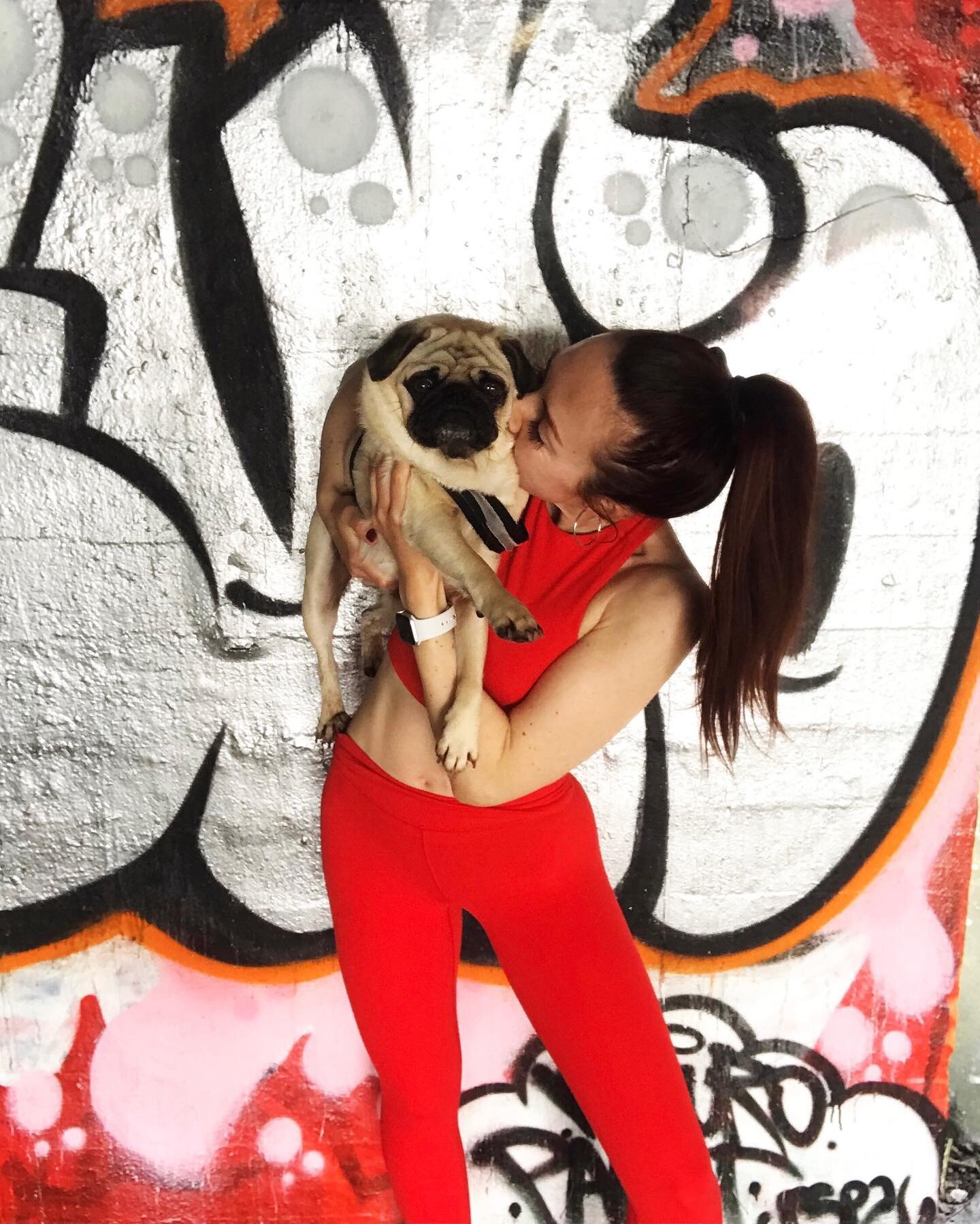 All I ever needed to know about unconditional love I learned from this snorty guy ❤️
Happy Valentine&rsquo;s Day, loves! 

#swolemates #valentinesday2021 #love #bestfriends #workoutbuddies #mamasboy #pugmom #puglove #puglife #sf