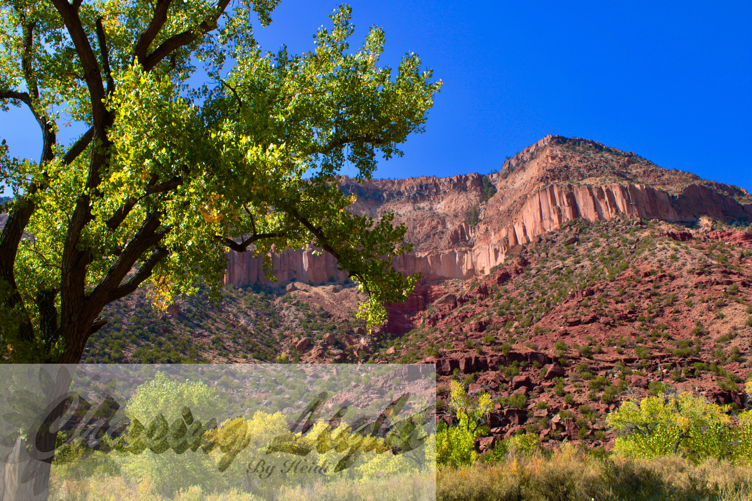 NM Fall