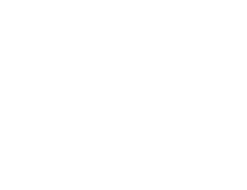MASTI