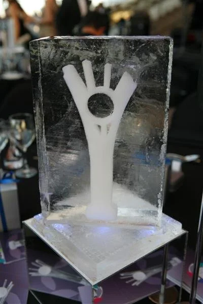 _MG_6525 (Medium).JPG