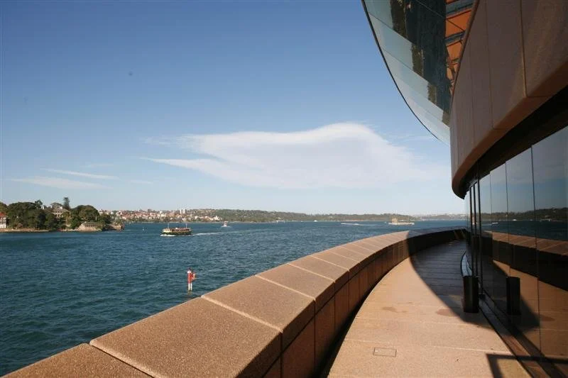 _MG_6479 (Medium).JPG