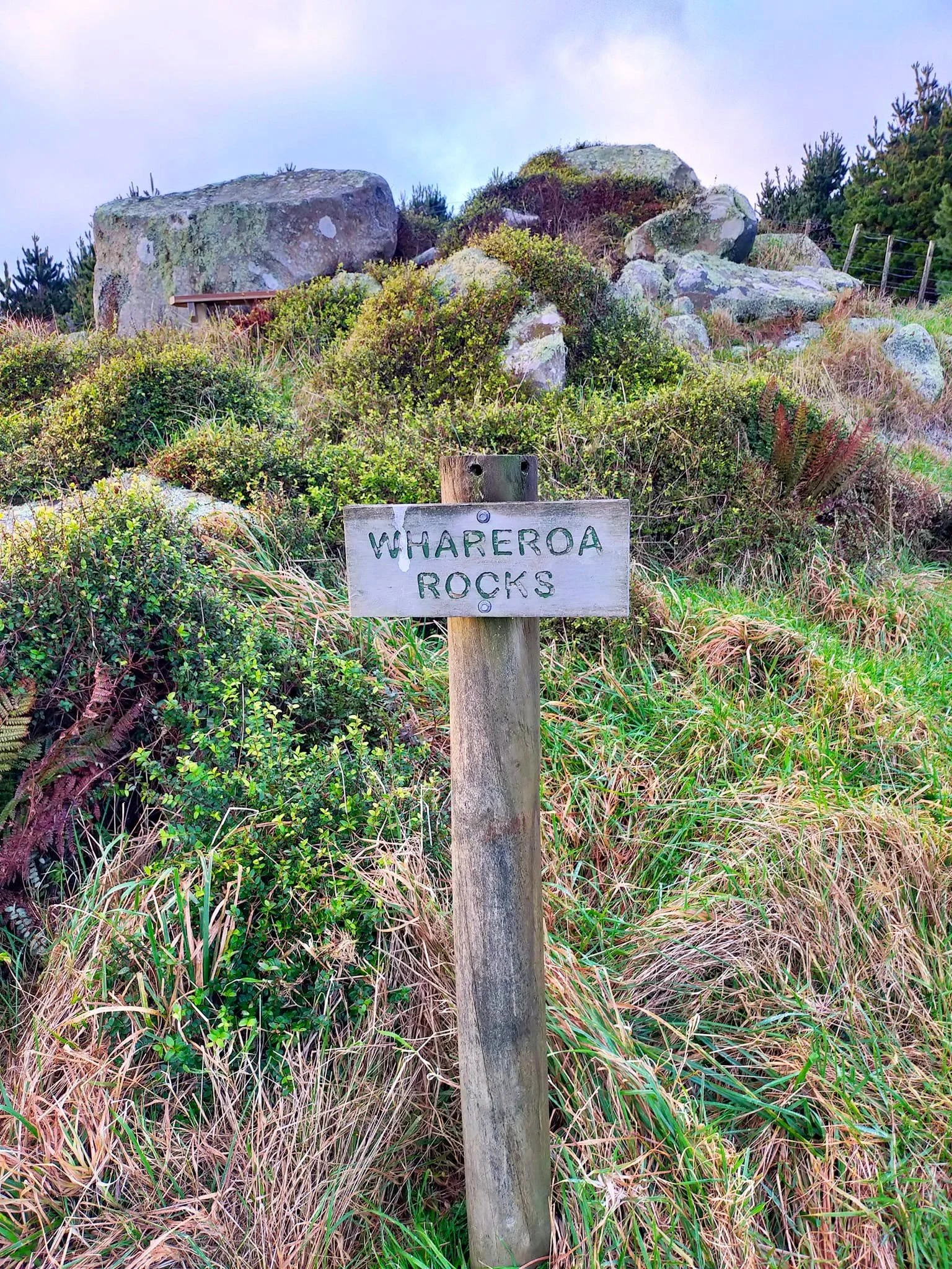 Whareroa Rocks, 2022