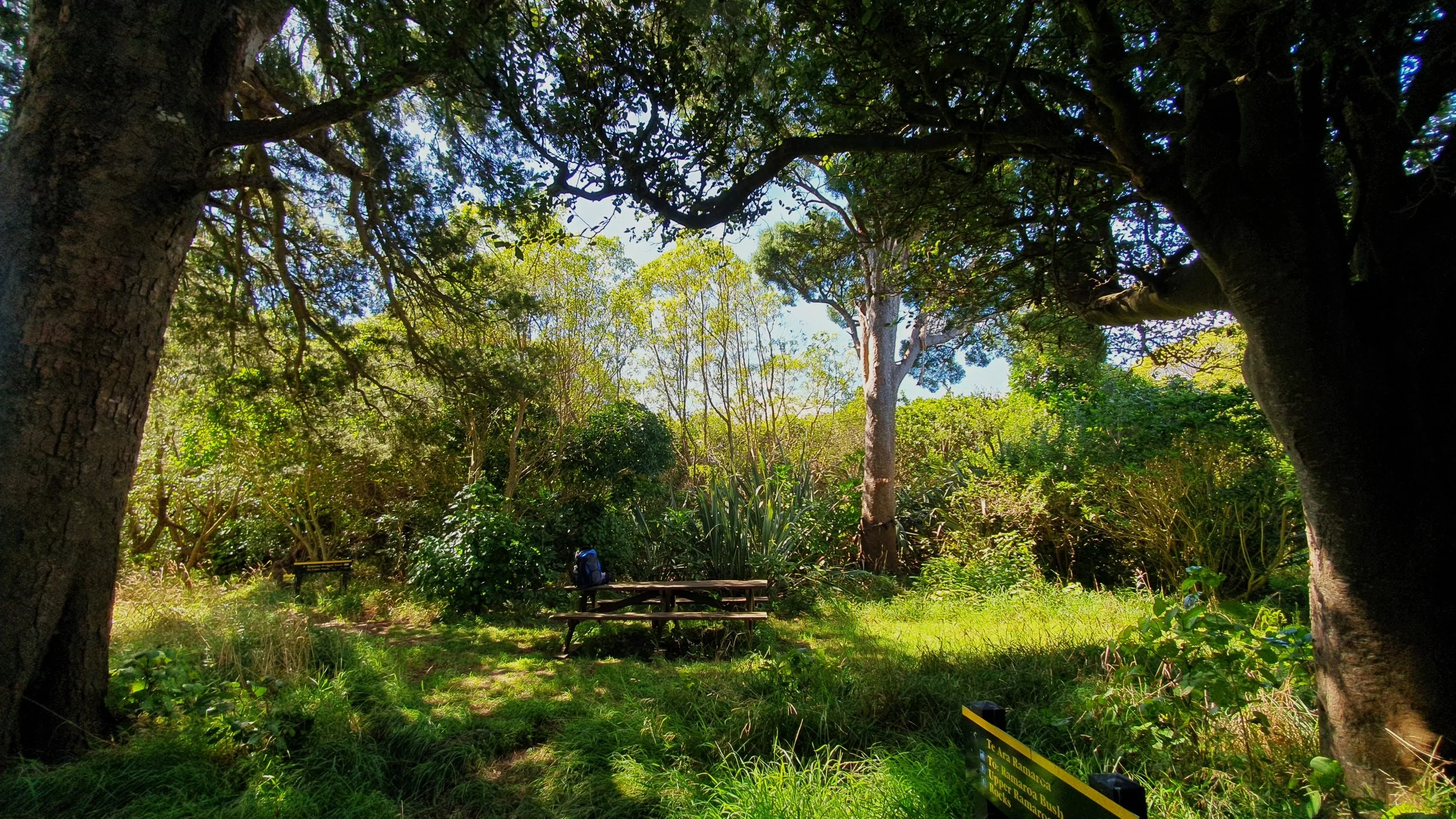 Picnic table in Ramaroa, 6.3.23