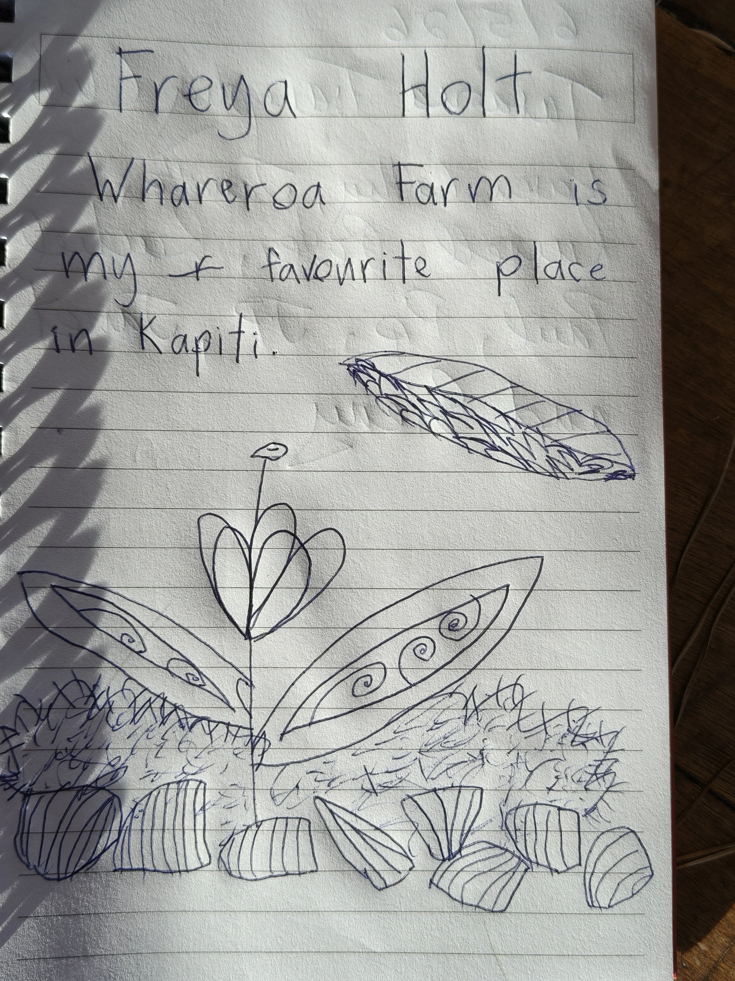 Freya was kind enough to leave us a note at the mini-hut. Thank you Freya, we completely agree with you! Click on the photo to find out more about the mini-hut. Photo Jan, 5.6.26
