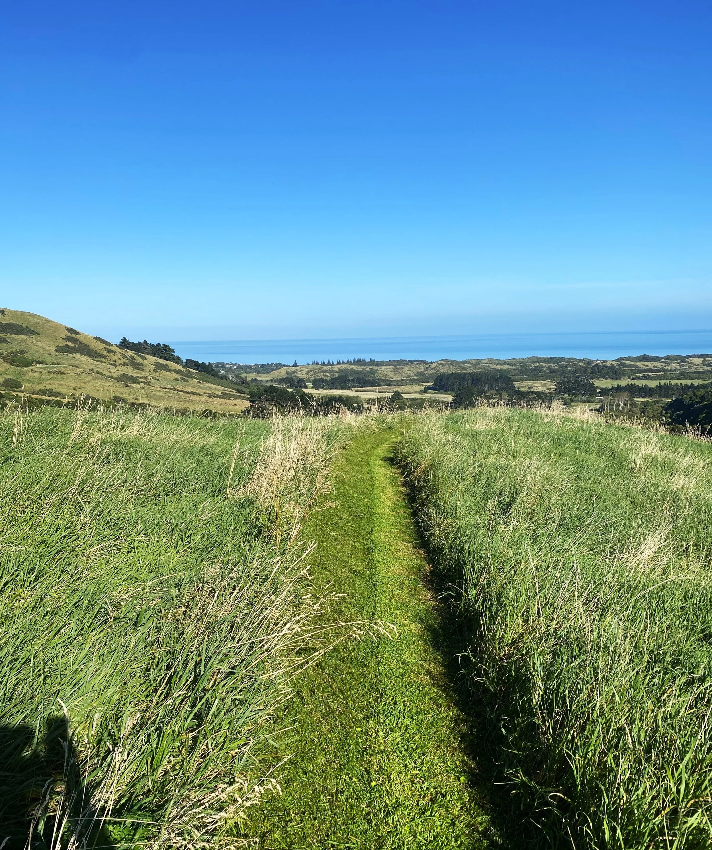 A freshly mown track with a great view. Photo Rhett, 25.2.26