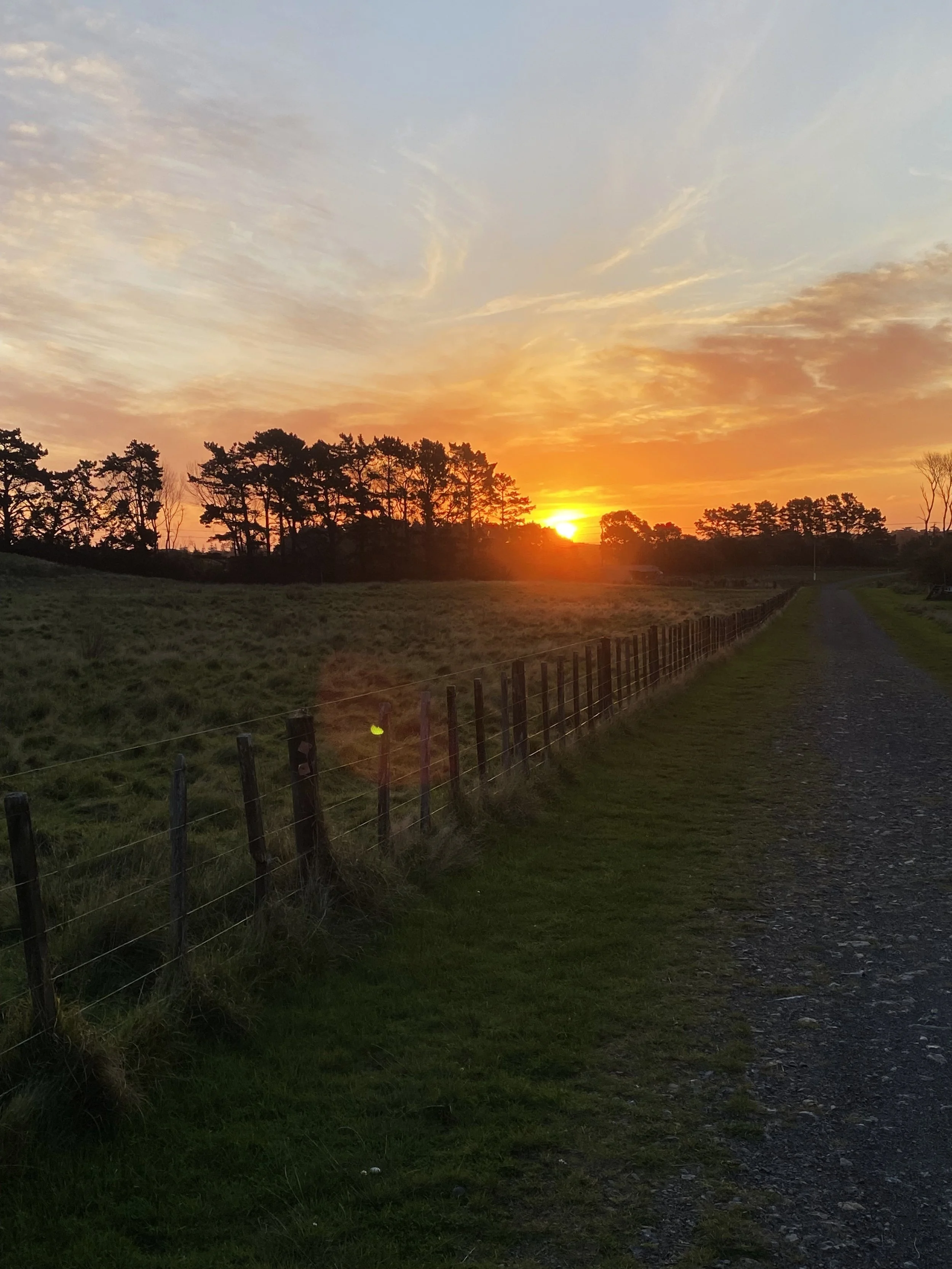 Whareroa Farm, sunset. Photo Rhett, 26.4.26