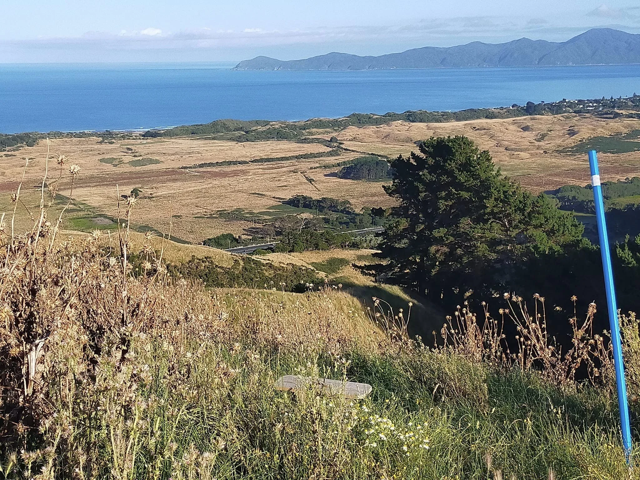 A view across to Kapiti Island, 24.1.23