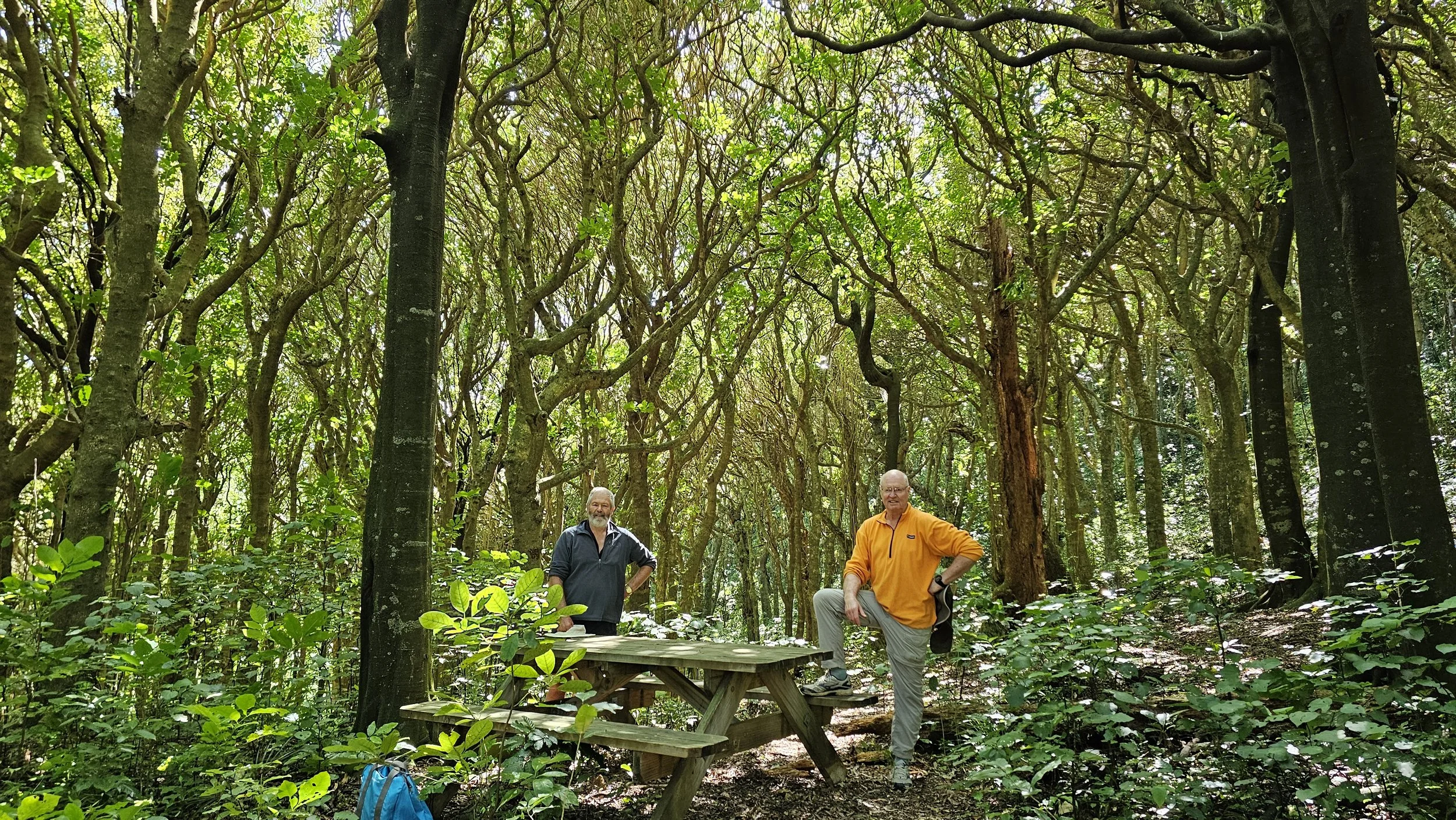 The 2 Shanes at the picnic table in Kohekohe Bush. Click on the picture and google maps will open showing the location of the picnic table