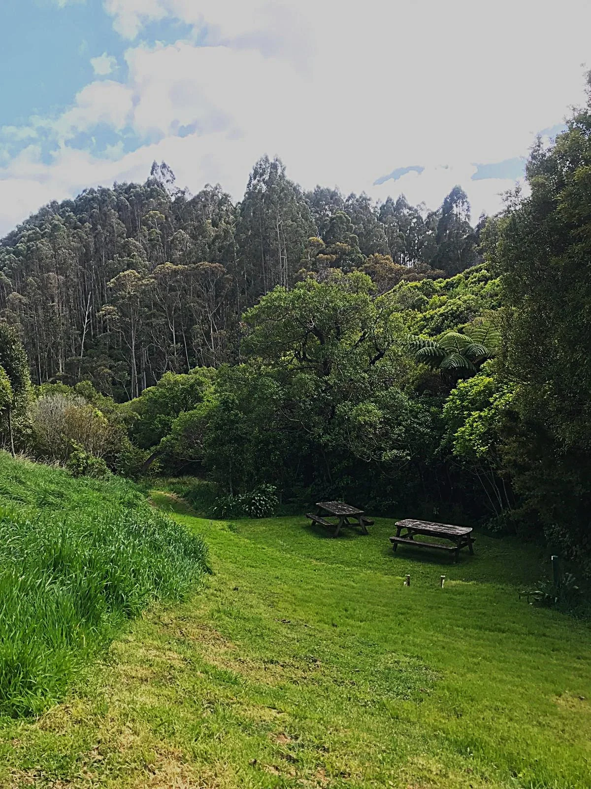The Dell looking sweet. Photo Helen, 16.10.24