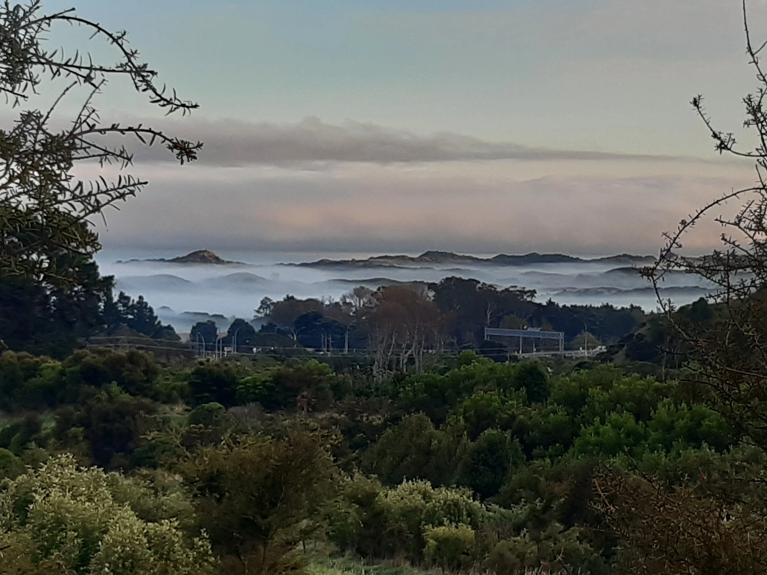 From Totora Ridge, Whareroa Farm looking north-west towards the dunes in QEP. Early morning 27.4.26. Photo from Ann