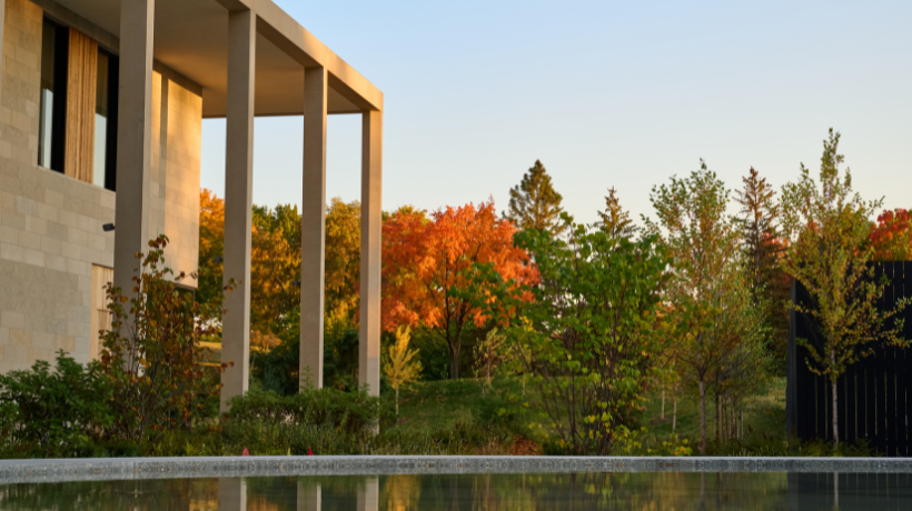 Fall Colors Celebration
