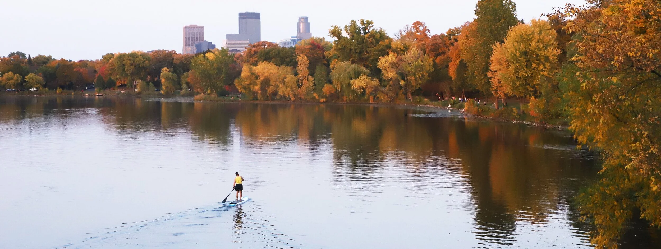 Survey: Shape the Future of Minneapolis Trees