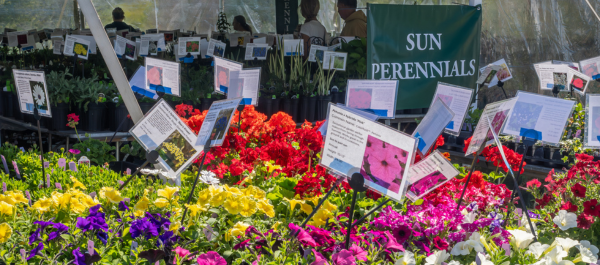 Arboretum Plant Sale