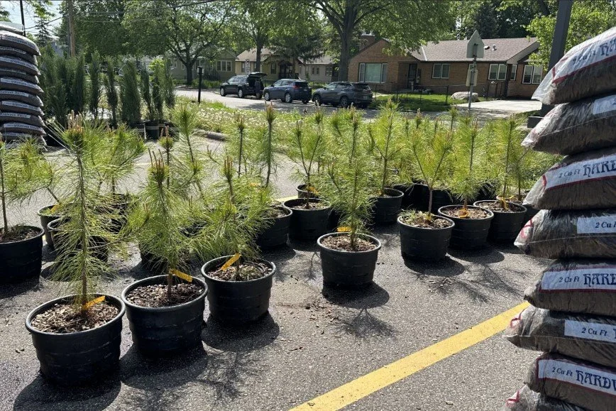 Spring City Trees Sale