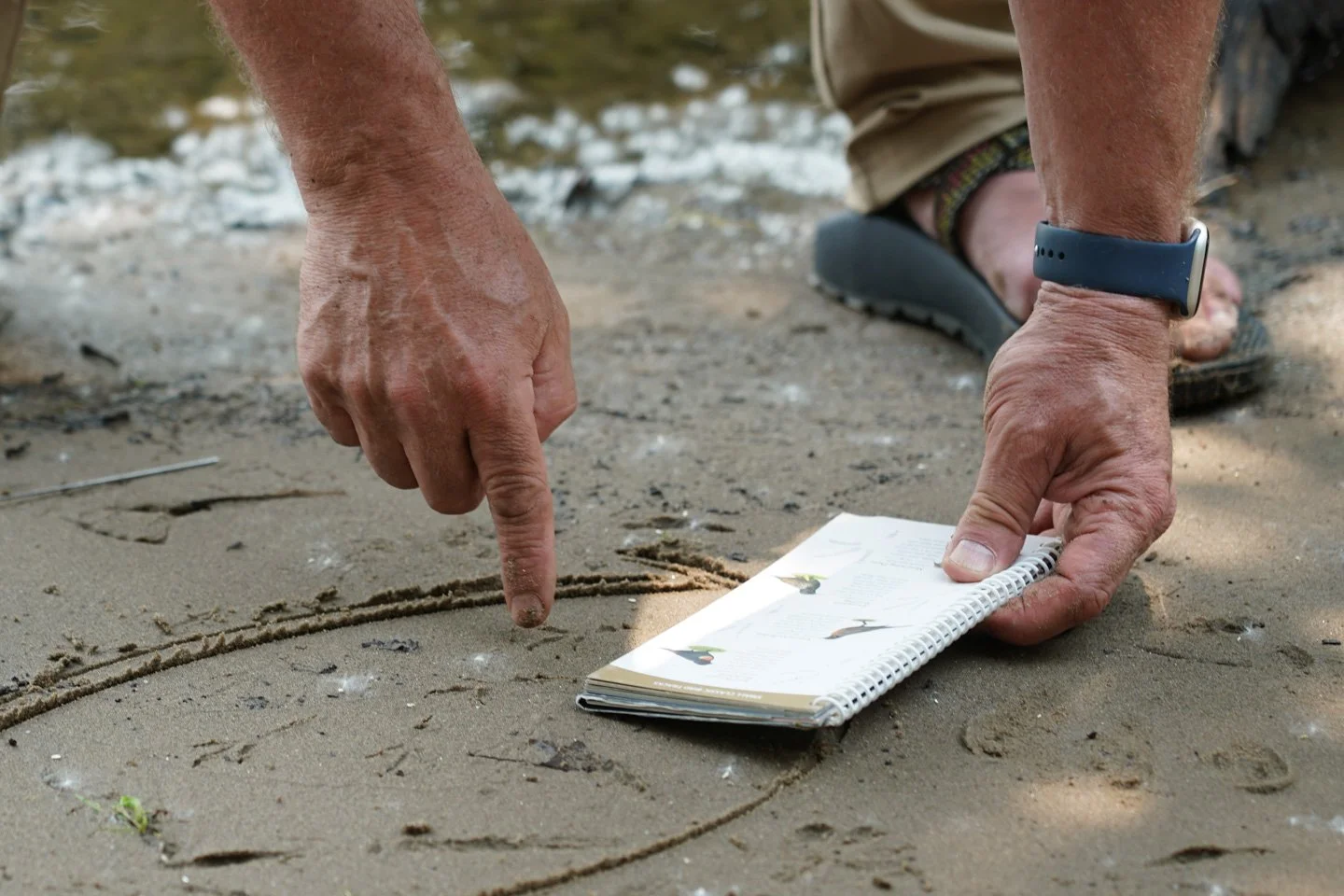 Fall Family Animal Tracking
