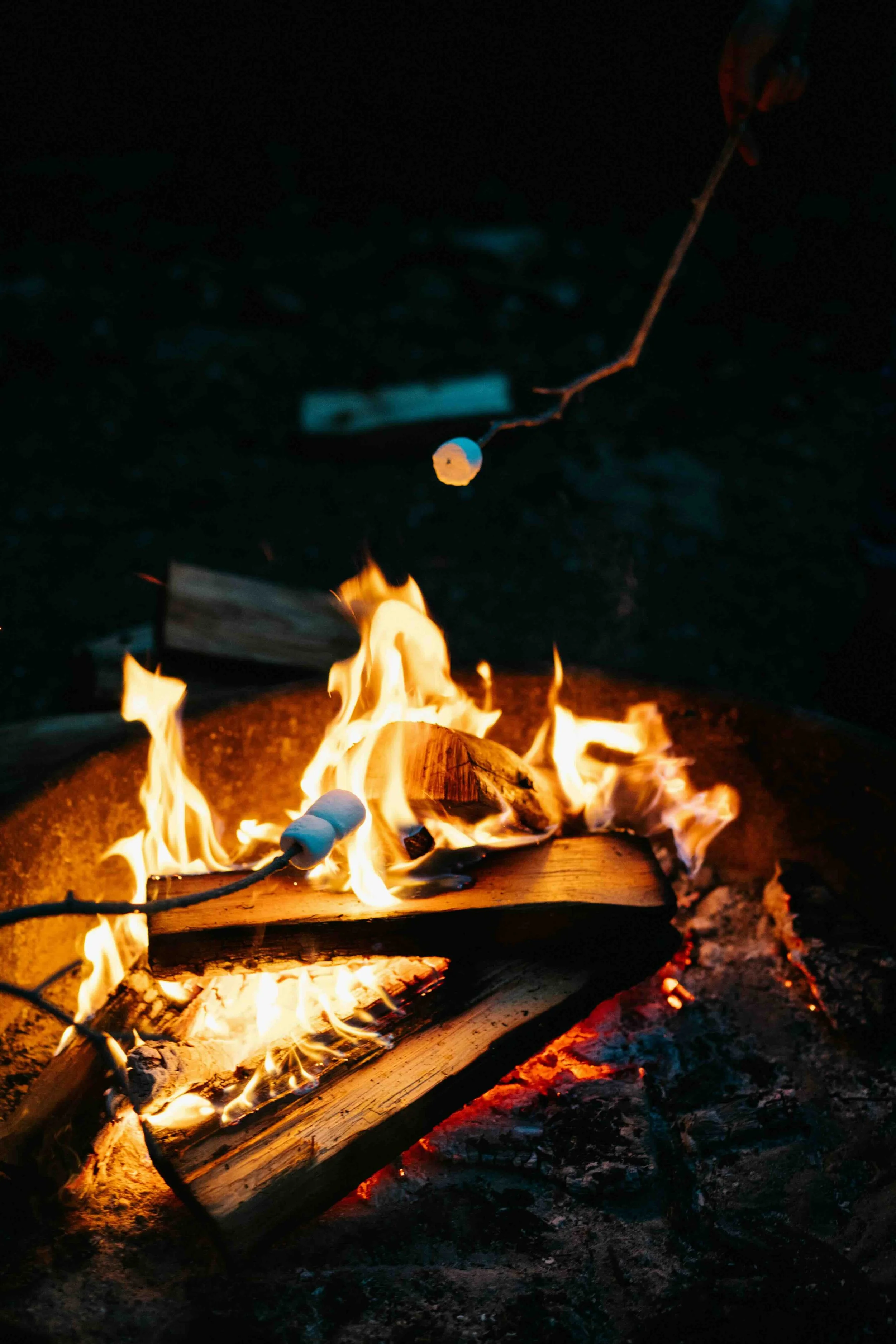 Bonfire & S'mores Evening