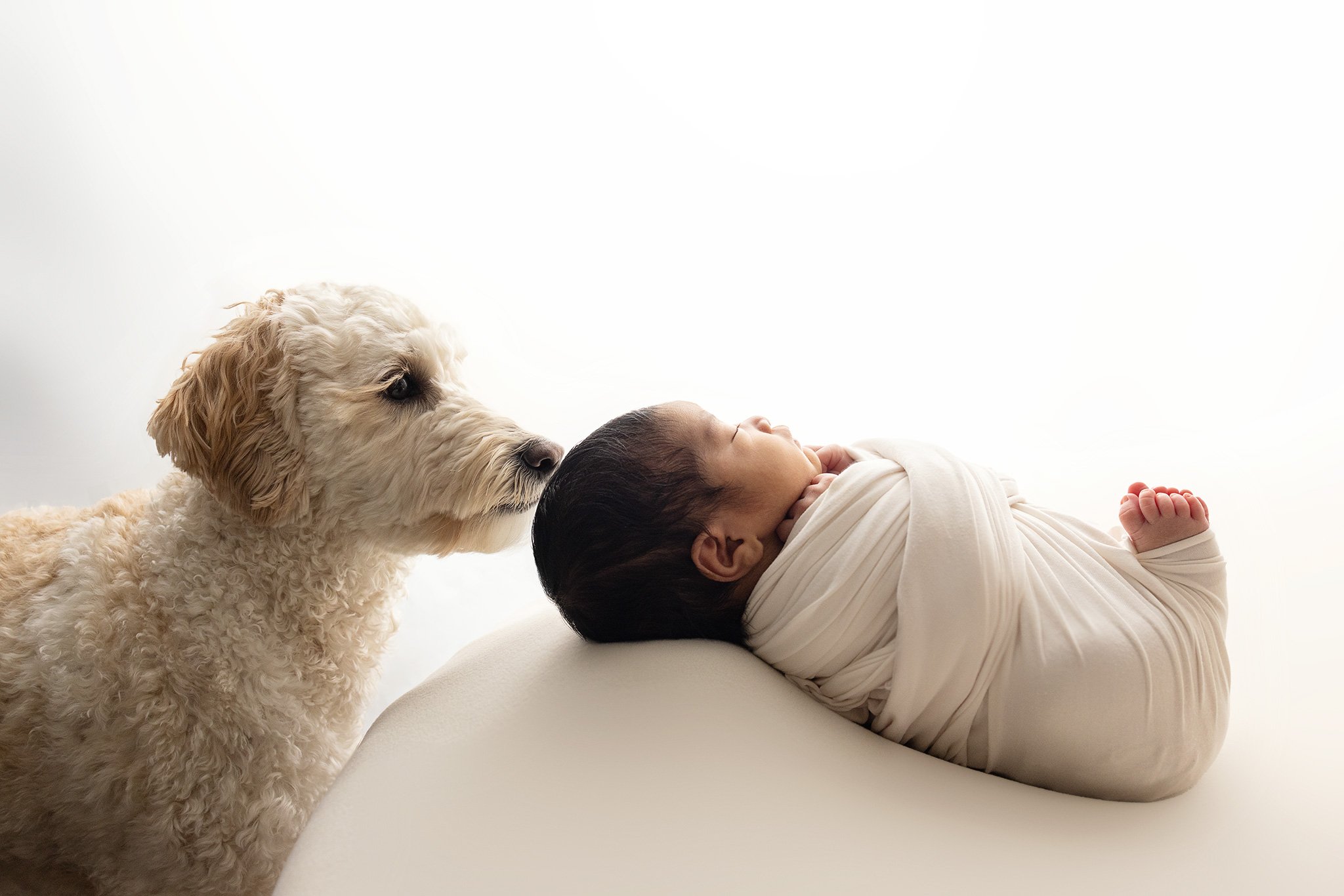 toronto baby photographer, newborn photography near me, in home newborn photos Toronto