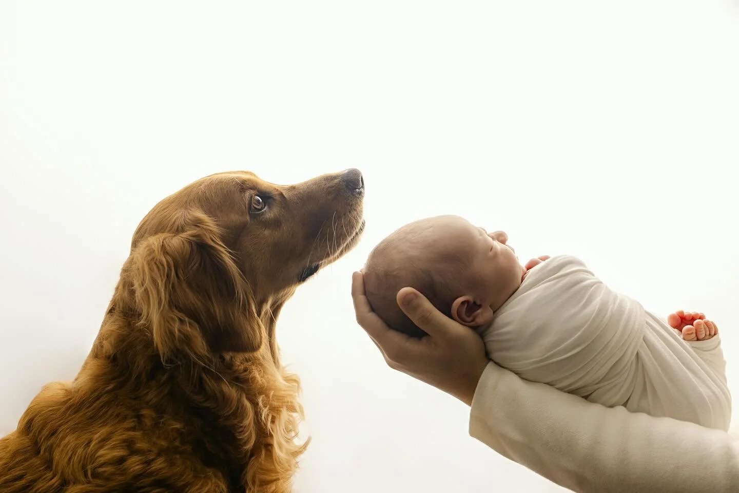 Capturing newborn love at home, where every tiny moment is worth treasuring forever. Serving families in Markham, Toronto, Richmond Hill, Vaughan, Aurora, Newmarket, and Scarborough.