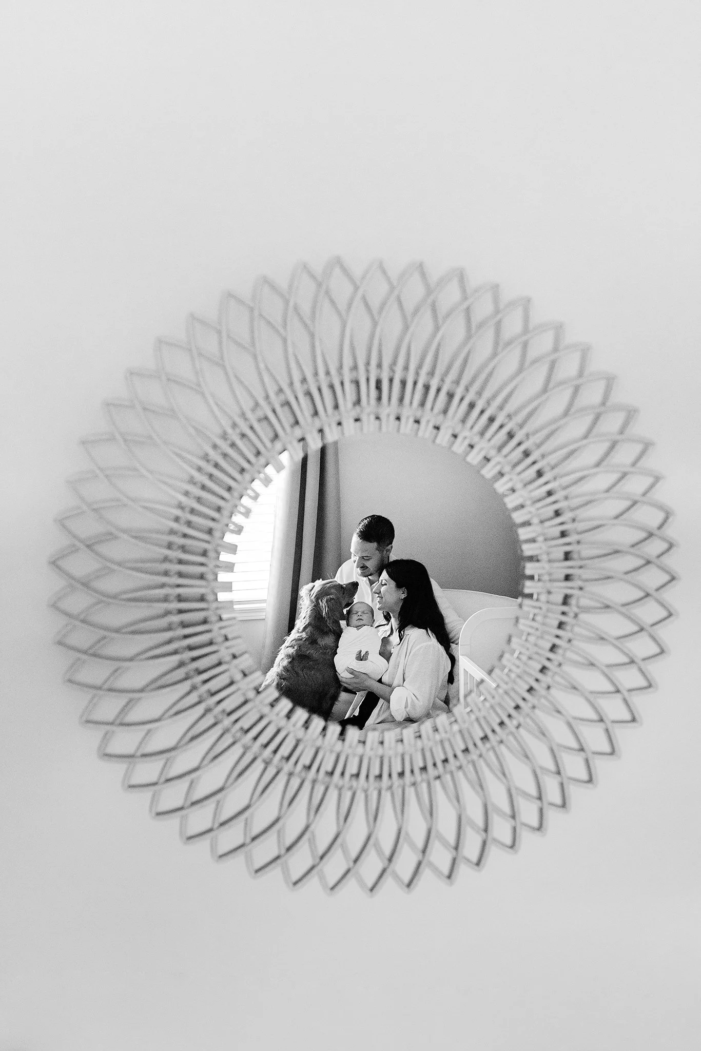 markham-newborn-session-golden-retriever-b&w.jpg