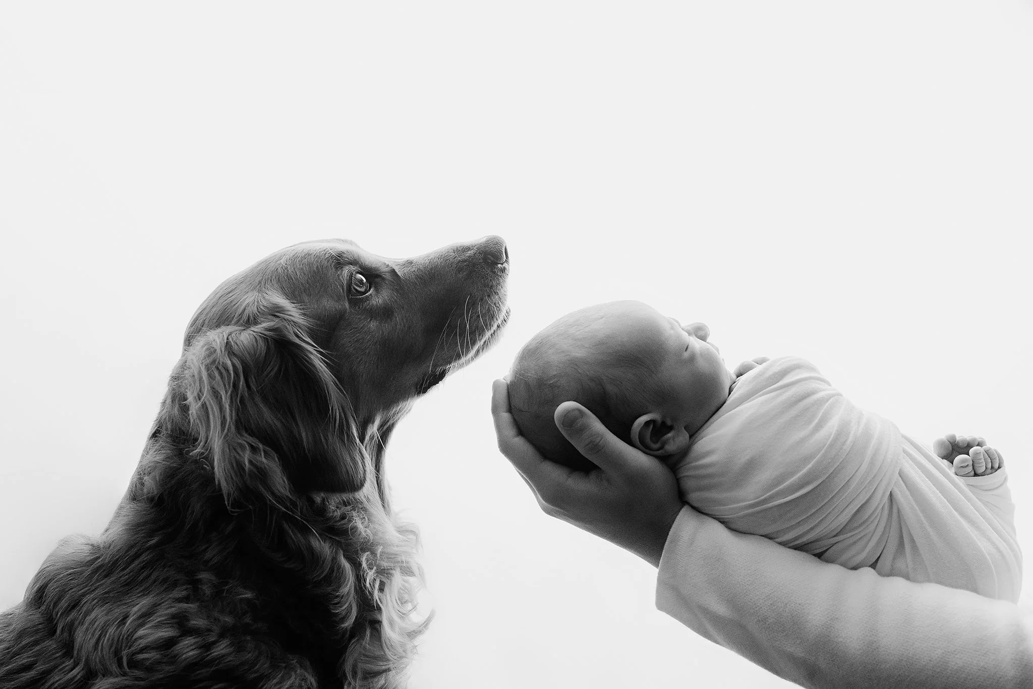 At Home with Baby | Markham Lifestyle Newborn Photographer