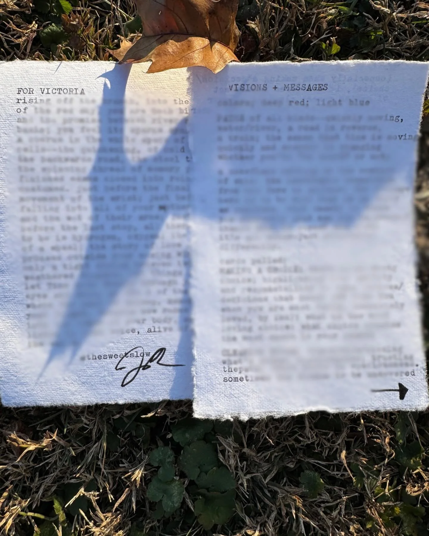 over here, in Love and all. 🥹

ORACLE POEMS. 

you know. at first, i wasn&rsquo;t sure how this offer/invitation would translate. i know my process is intuitive, but this? this takes it a bit deeper. this connects to the land. the beings. the specif