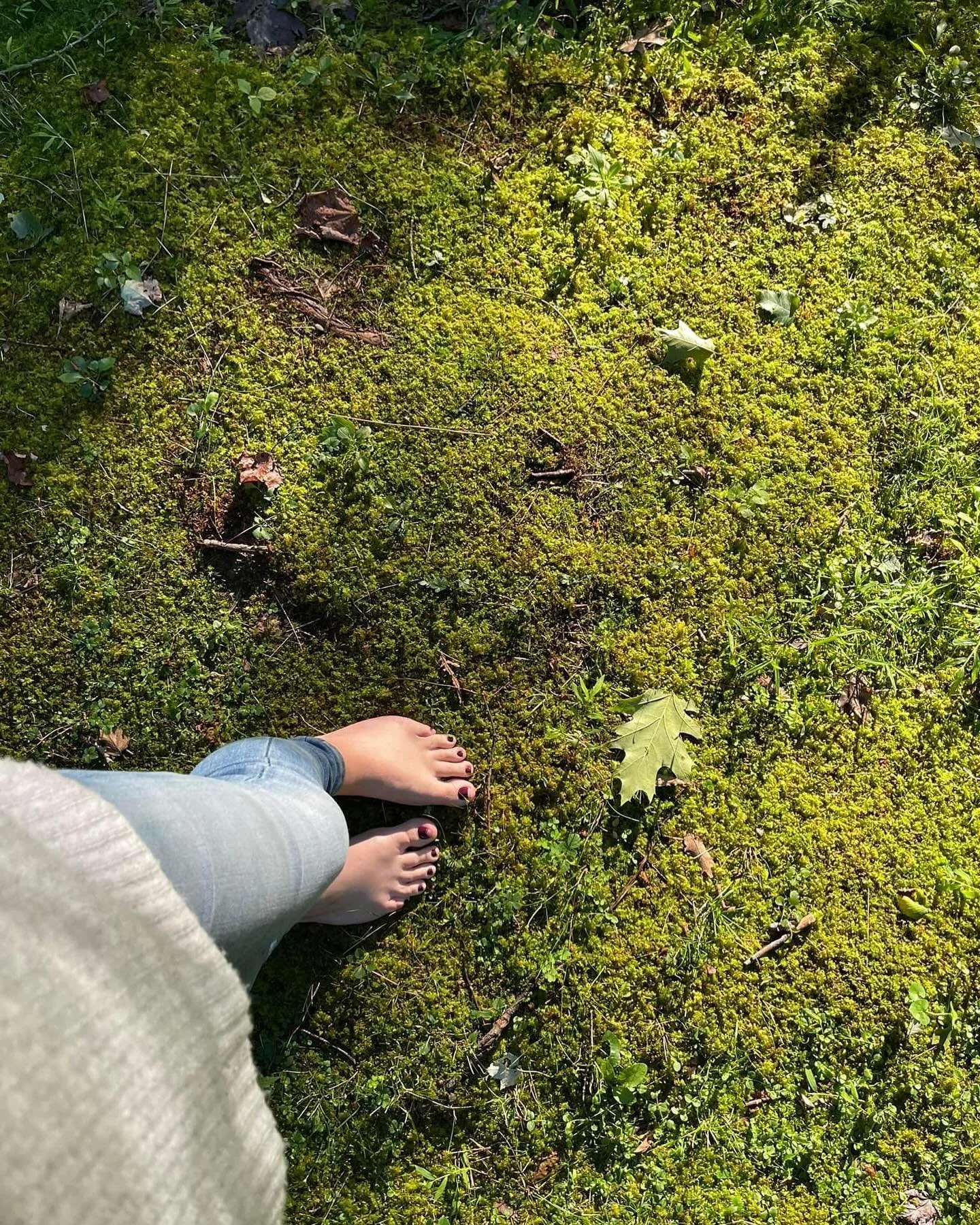 the year long journey inside The Sweet Slow 

is for the human who finds themselves wondering where the Time goes..

who feels busy, but unsatisfied. 

on the go, but somehow missing something. 

on the edge of magick&mdash; but still holding onto re