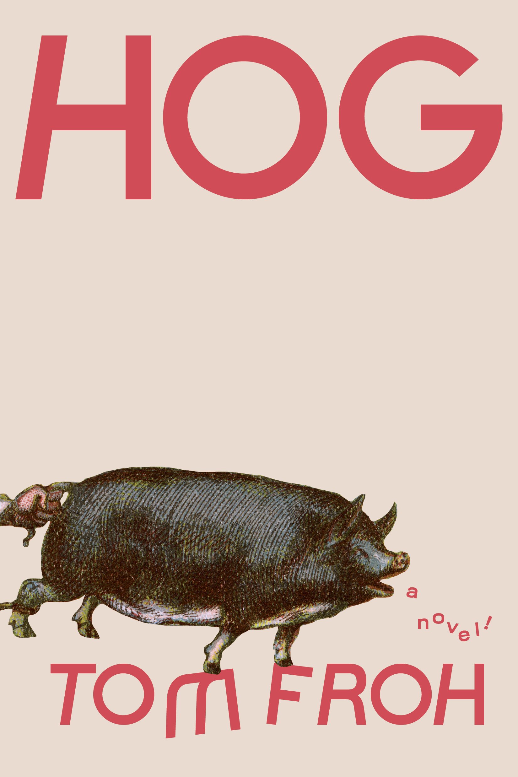 Hog_7_30_26.jpg