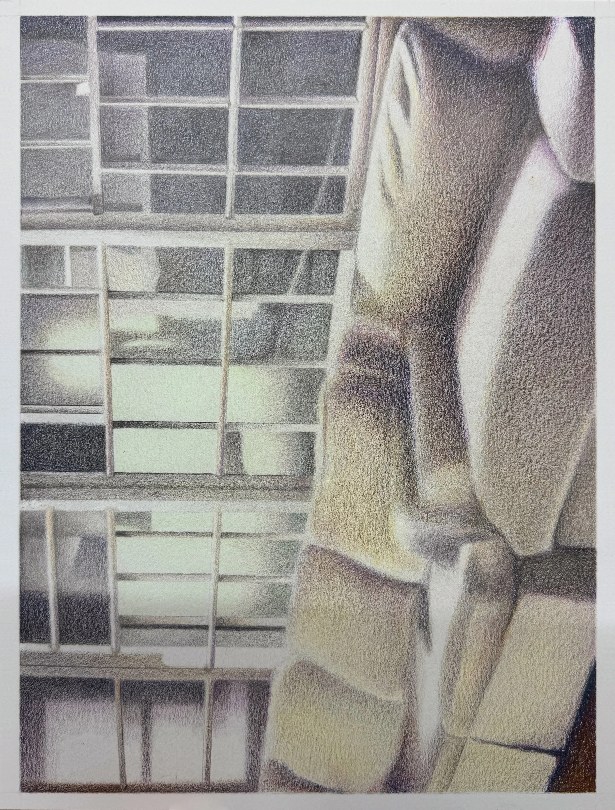 Sedentary, colored pencil on paper, 12" x 9", 2026