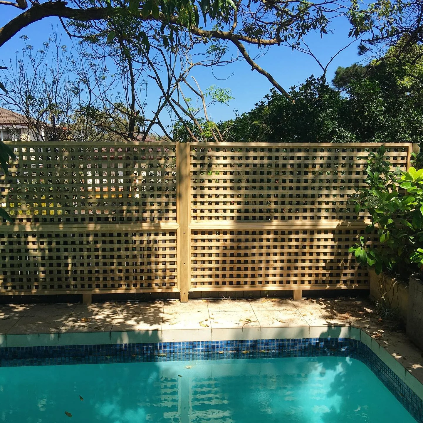 Do you need a new solution to your home fencing? This beautiful lattice fencing done in a home in the Eastern Suburbs, protects the pool and privacy from neighbours. Contact Oscar at 0411418001 for a quote! ✅