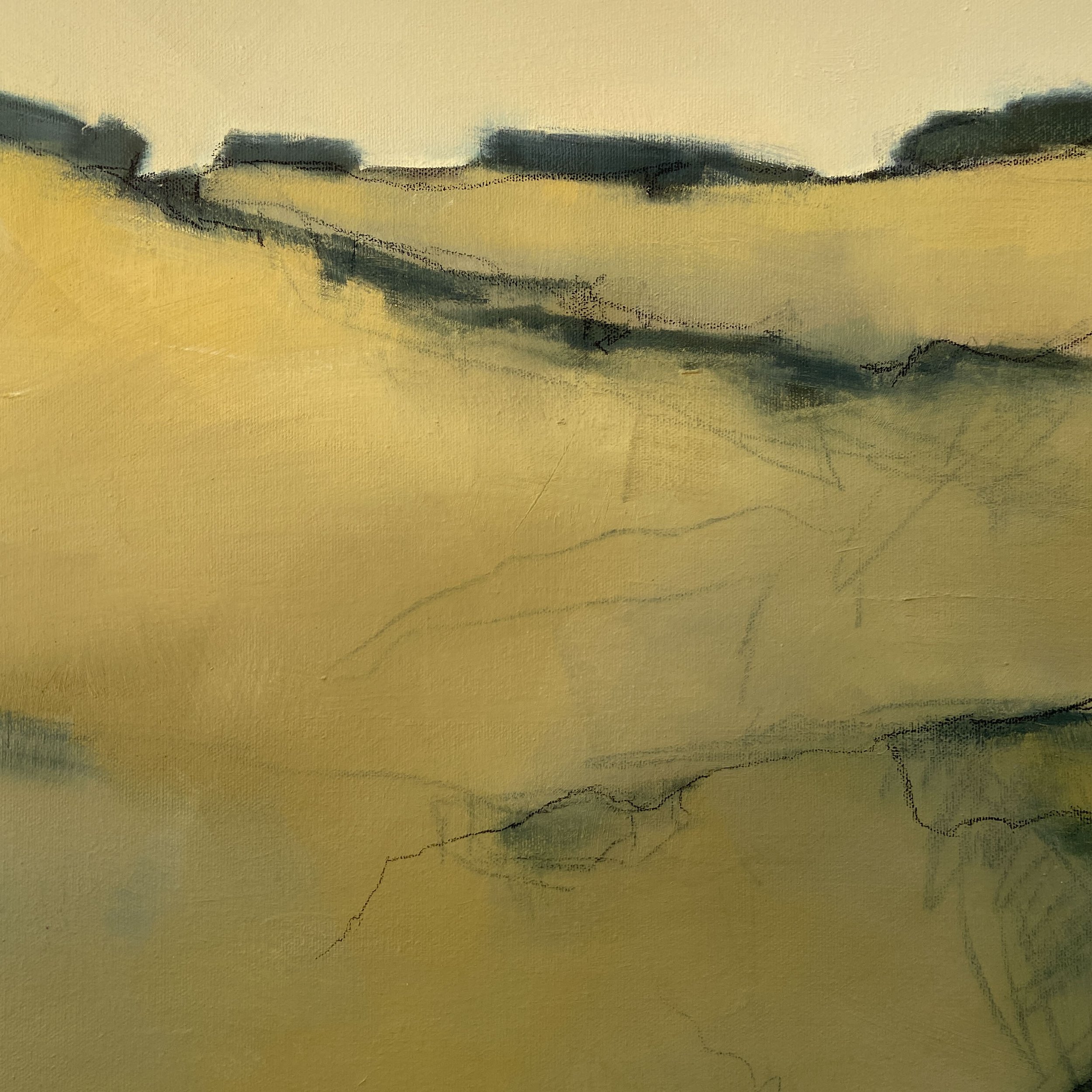 Crevices detail 2.jpg