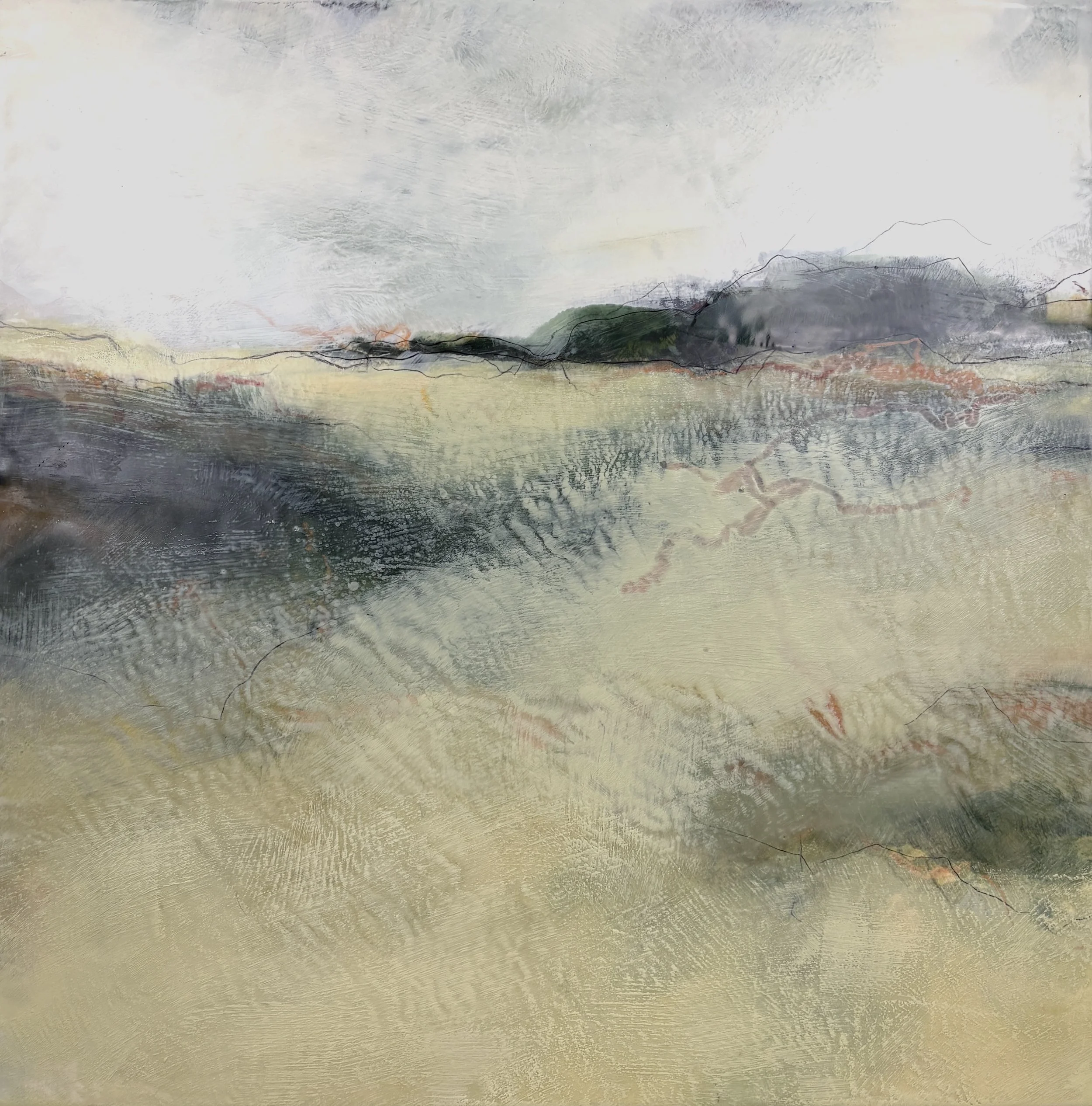 Windswept Landscape