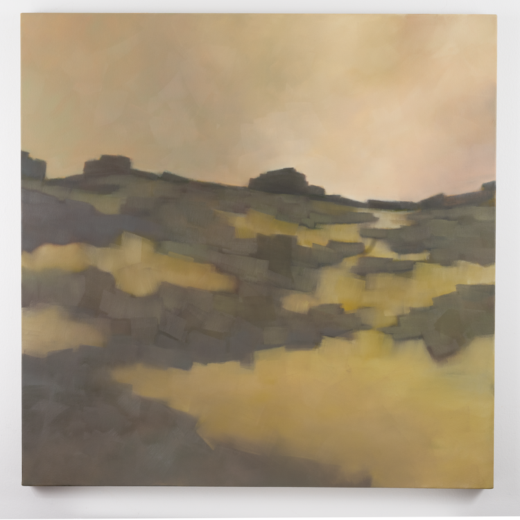 Marshland Horizon