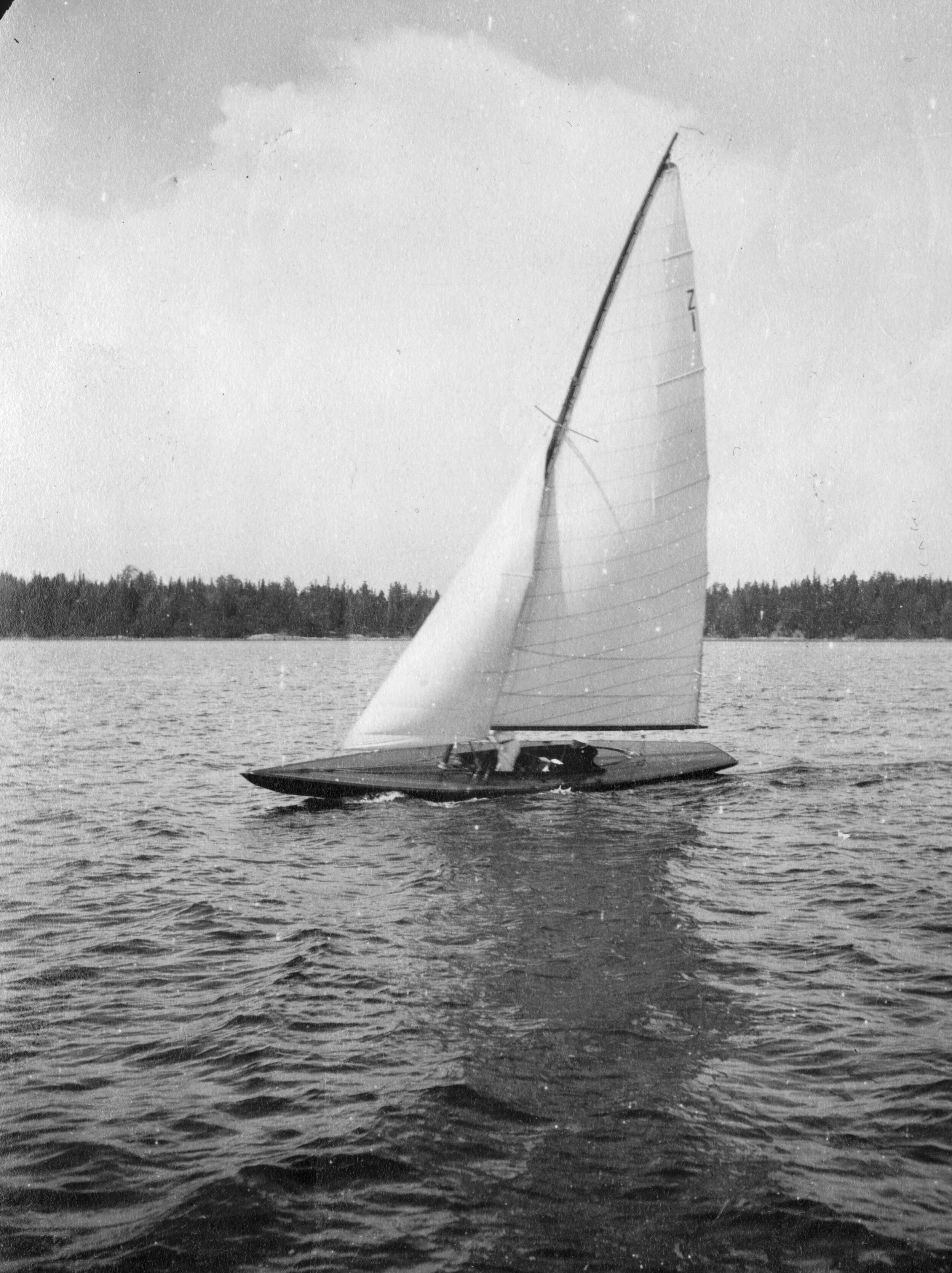 Colibri_1917[2].jpg