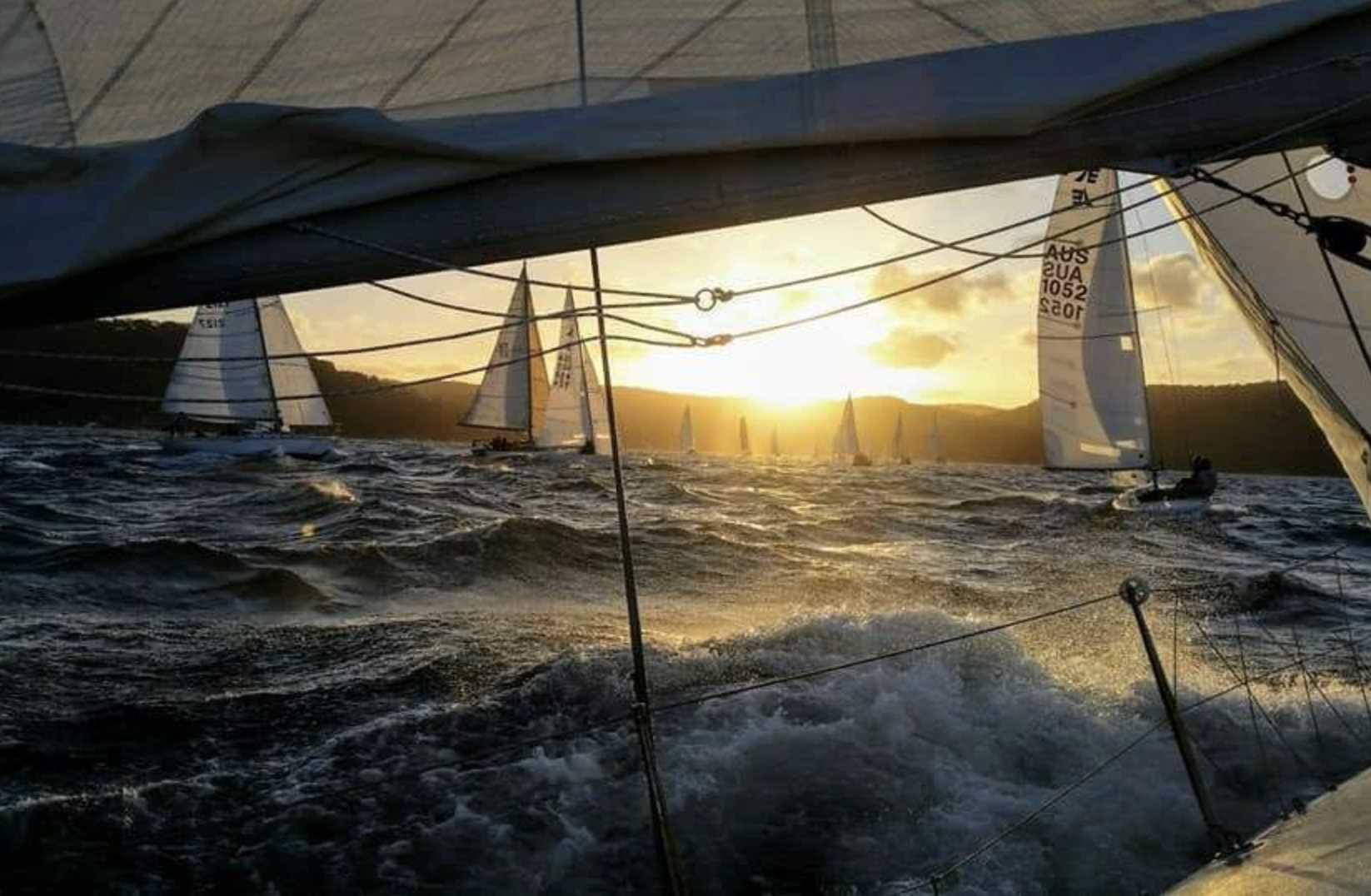 Woody Point SummerSeries