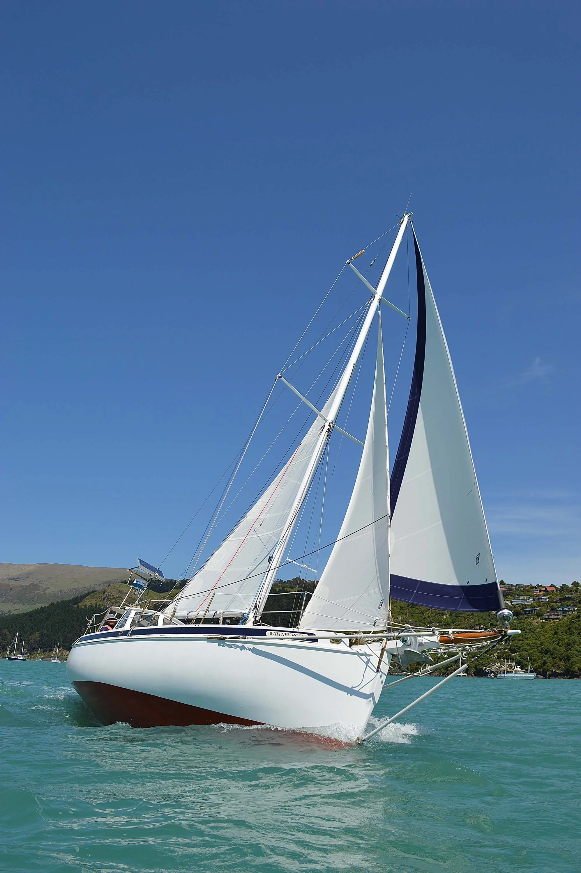DSC_6026.jpg