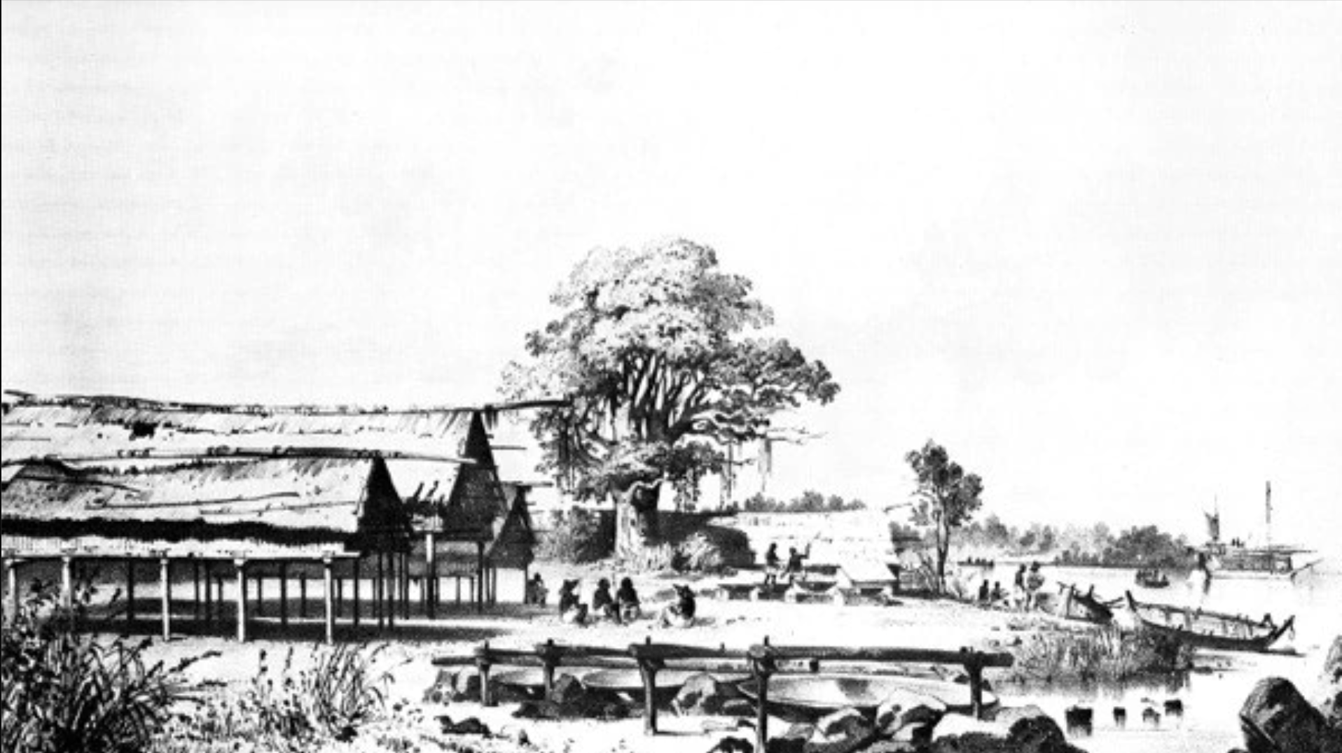 A Makassan trepang processing site at Raffles Bay drawn by L. Breton in 1839.(Supplied: Campbell Macknight)